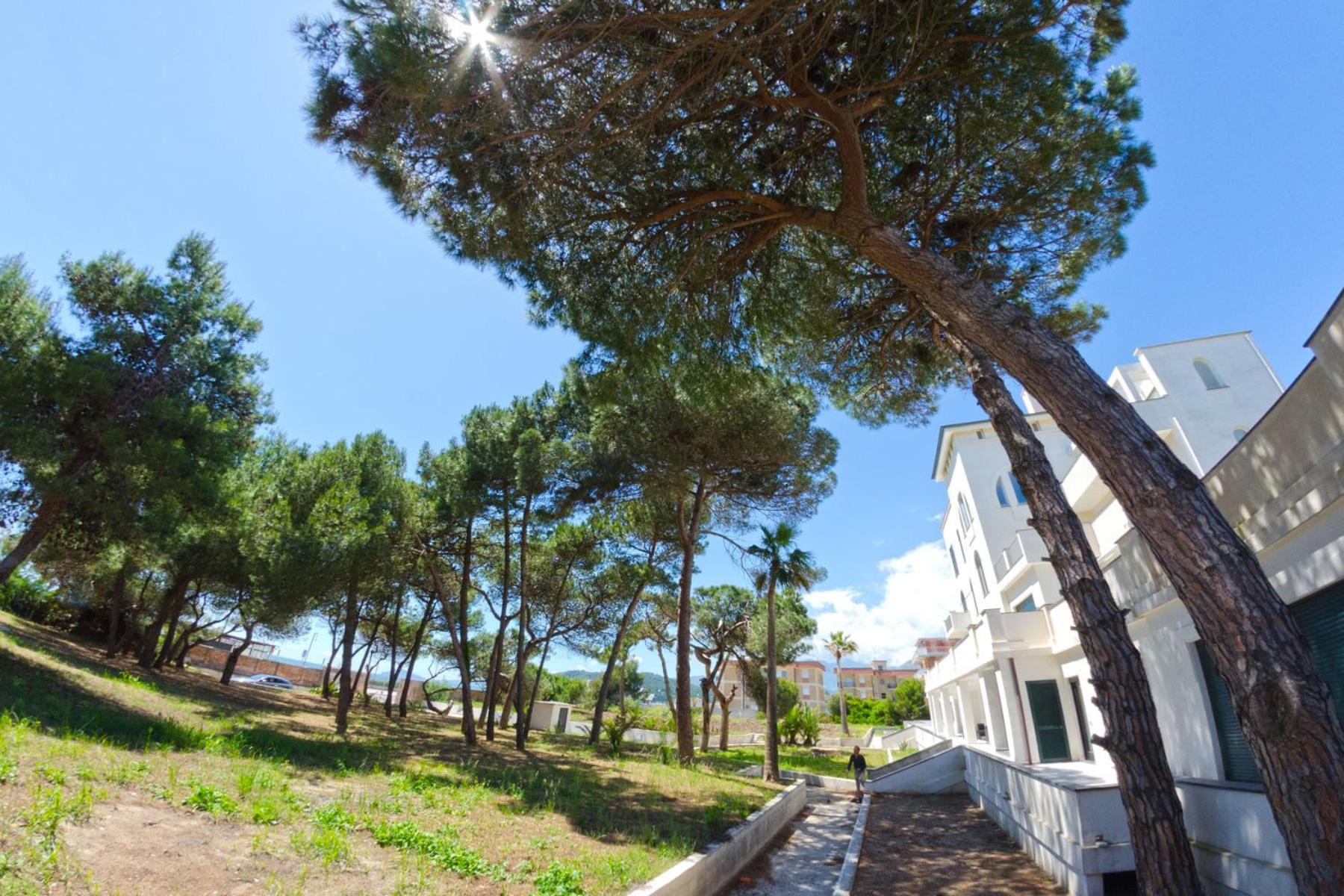 Photo 35