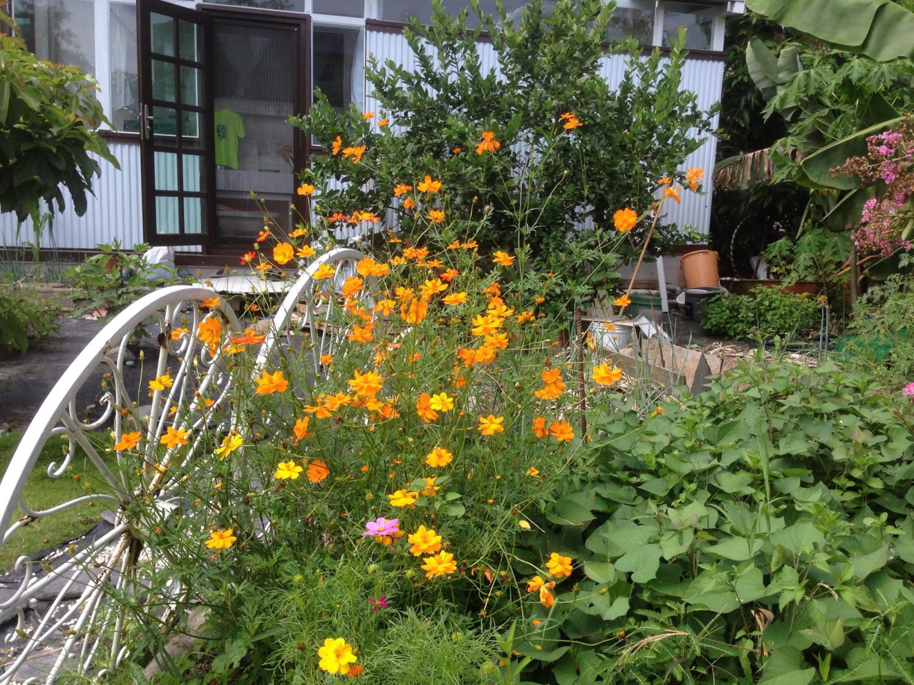 Hasayaki Homestay