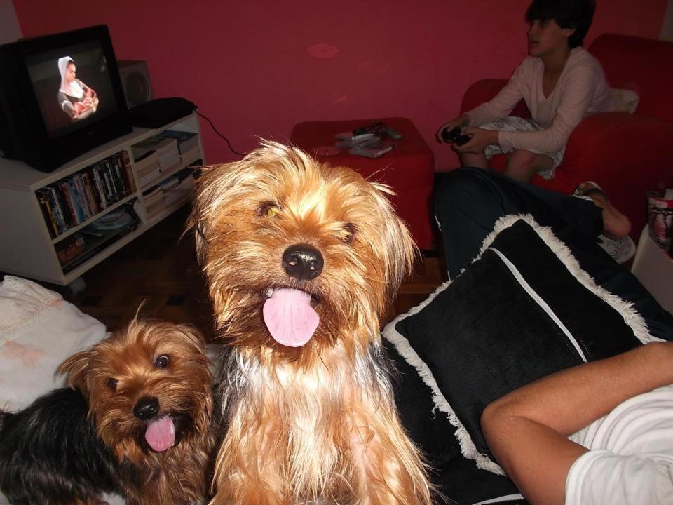 Photo 25
