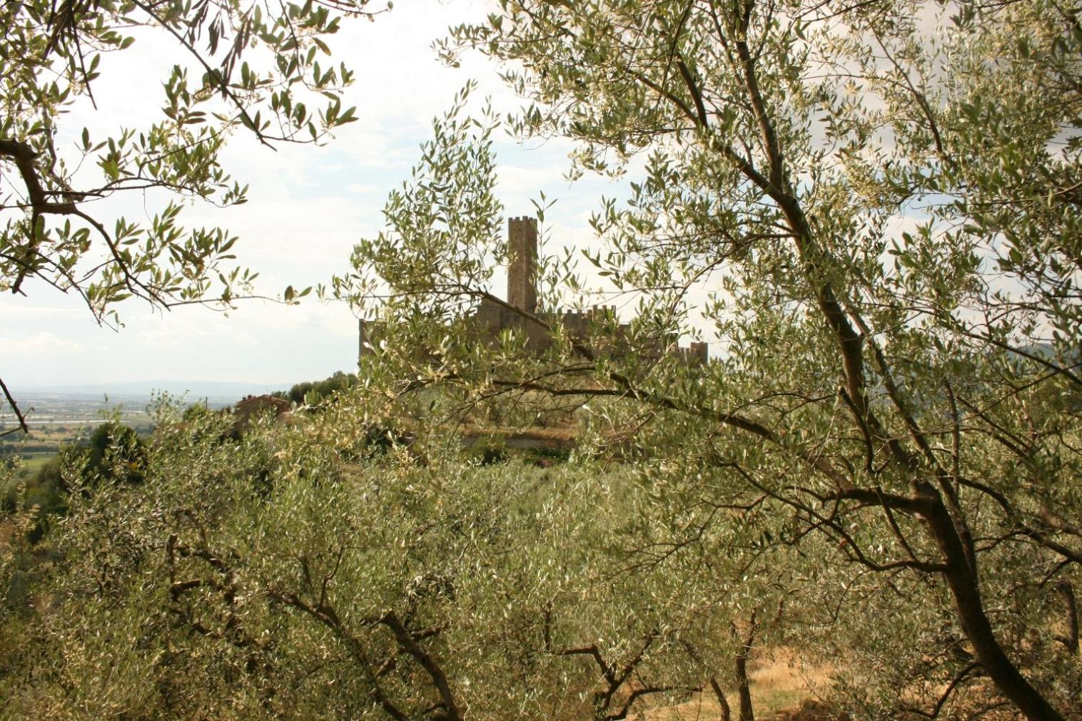 La Torre view 3