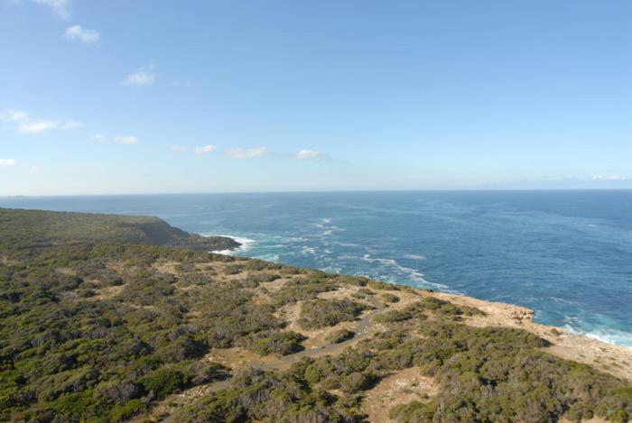 Cape Nelson Lighthouse