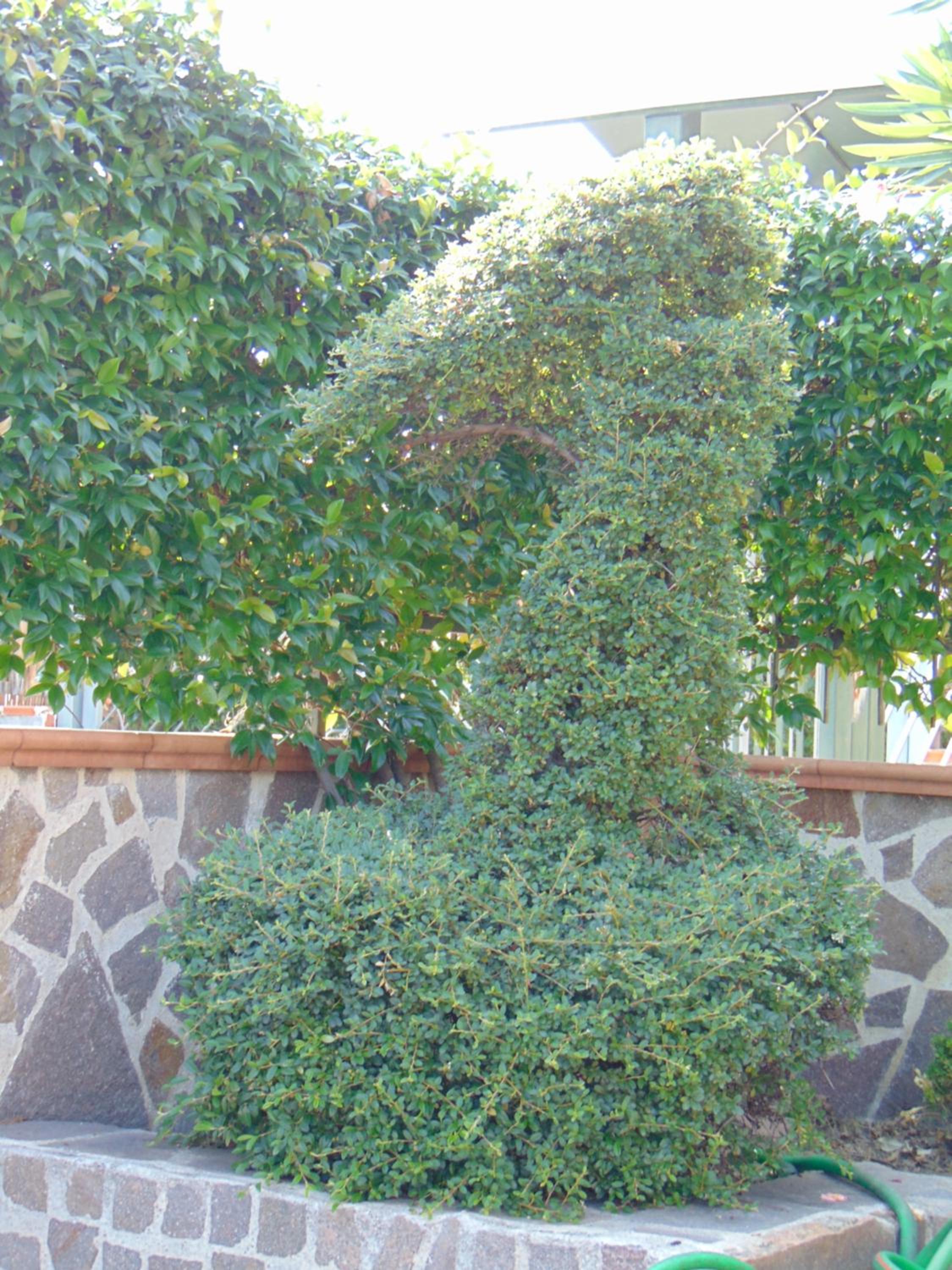 Photo 24