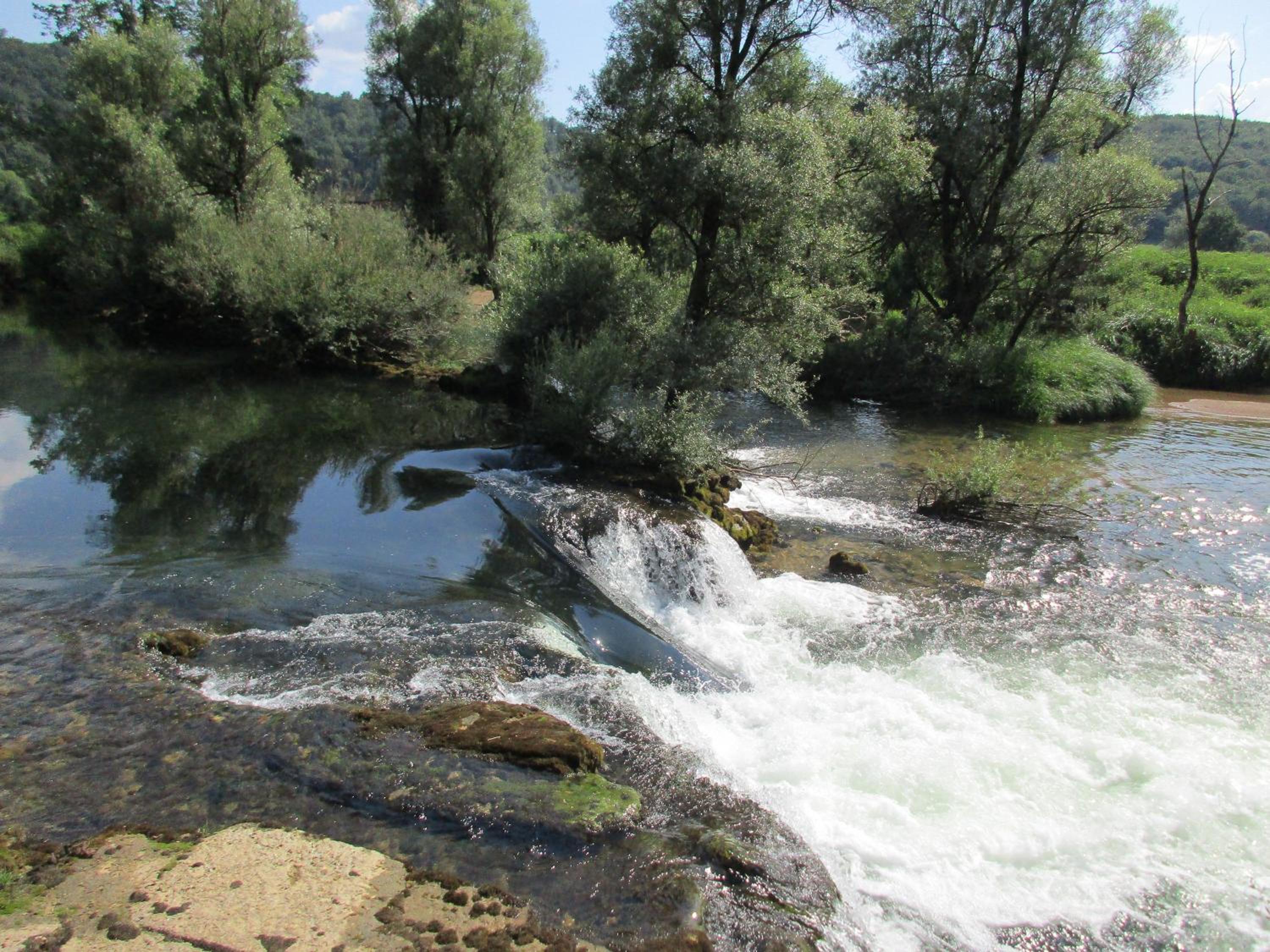 Photo 44