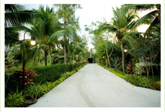 Young Coconut Garden Home Resort