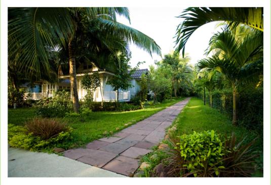 Young Coconut Garden Home Resort