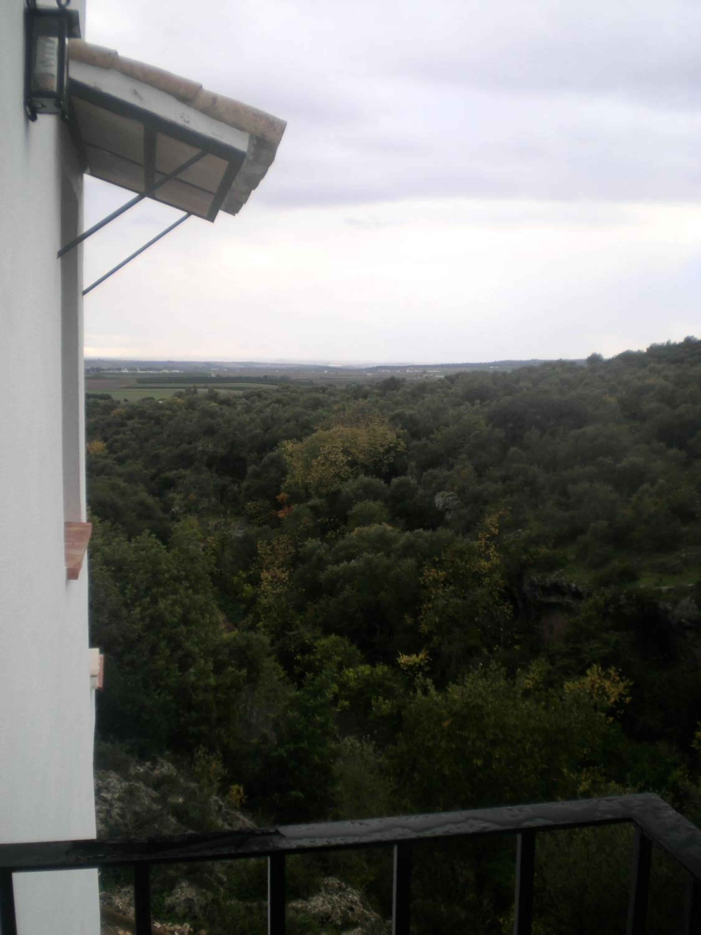 Ctro de Naturaleza Cañada Verde "Descubre la Magia de El Bosque Encantado de Córdoba" photo 4