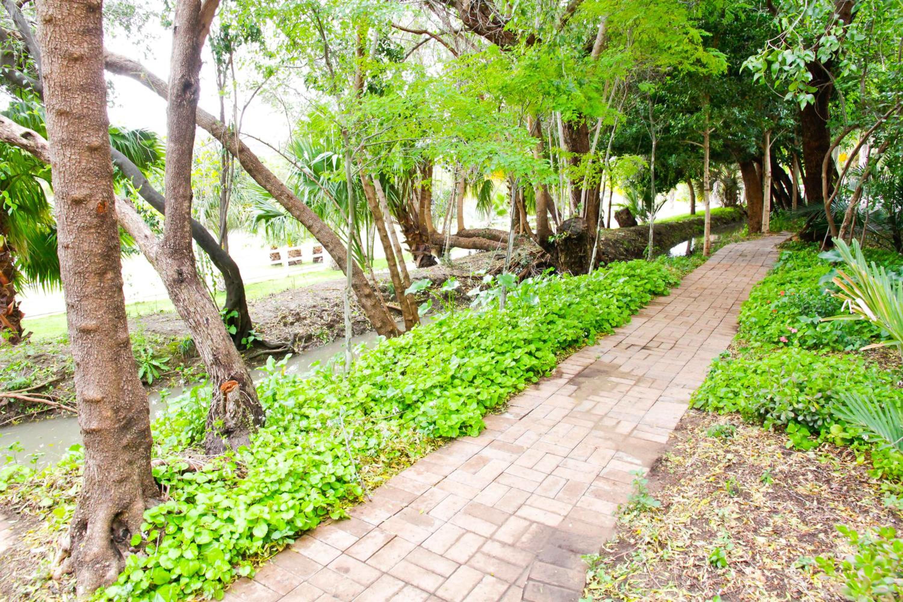 Photo 47