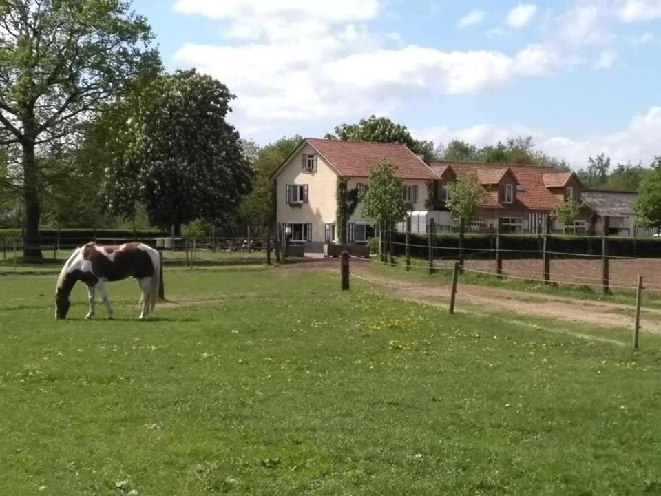 De Blauwe Maaten