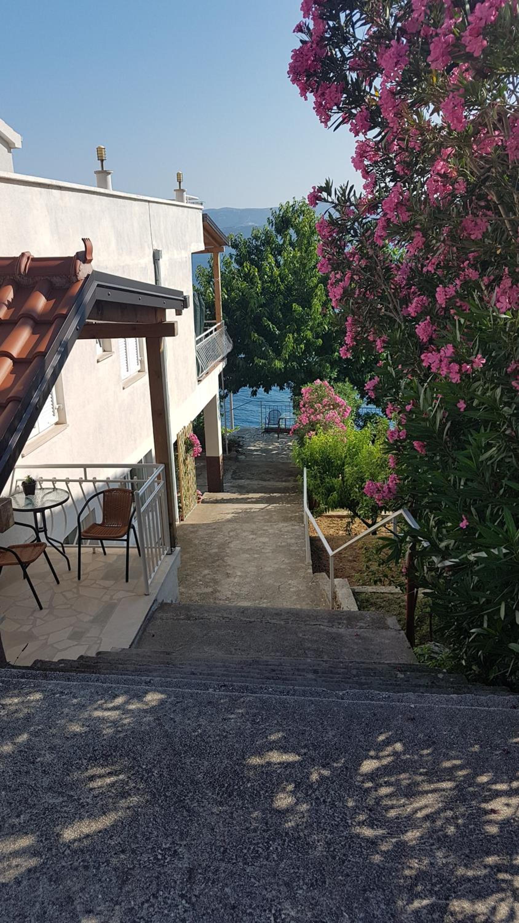 Apartments Coko view 2