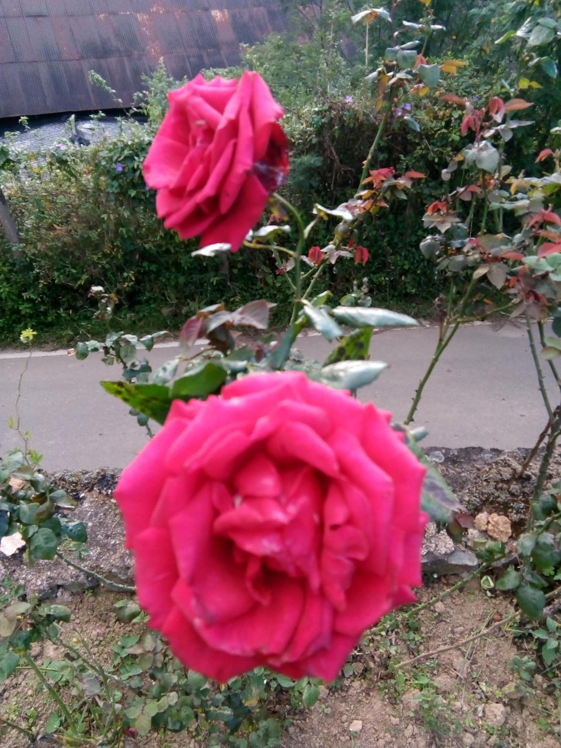 Photo 22
