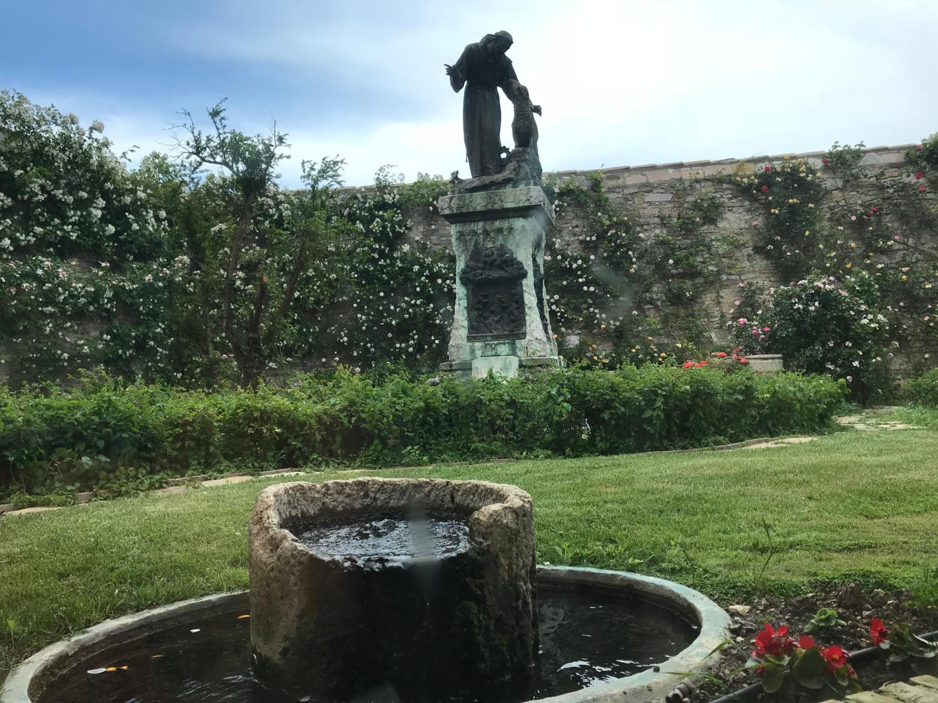 Photo 16