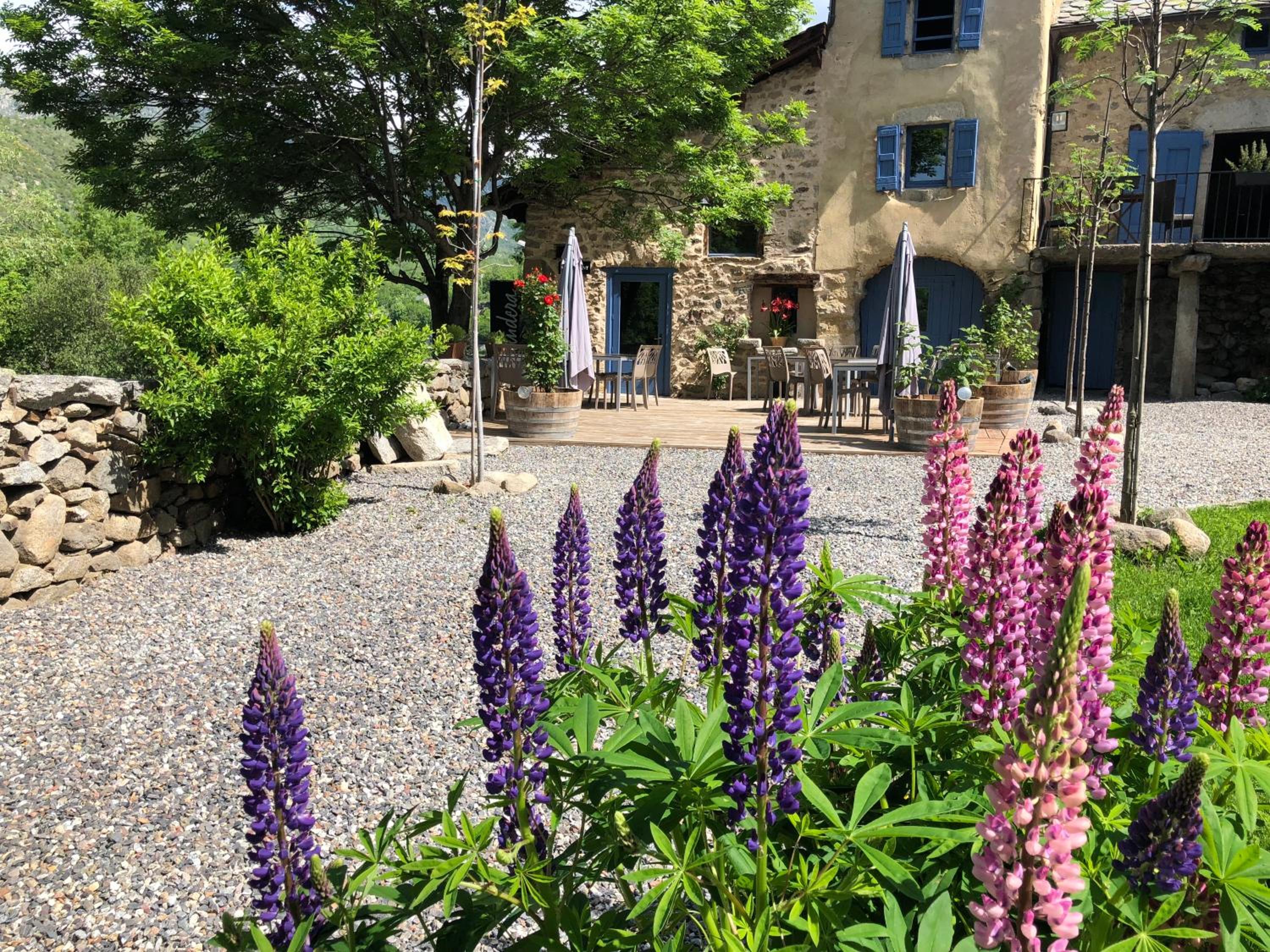 garden
