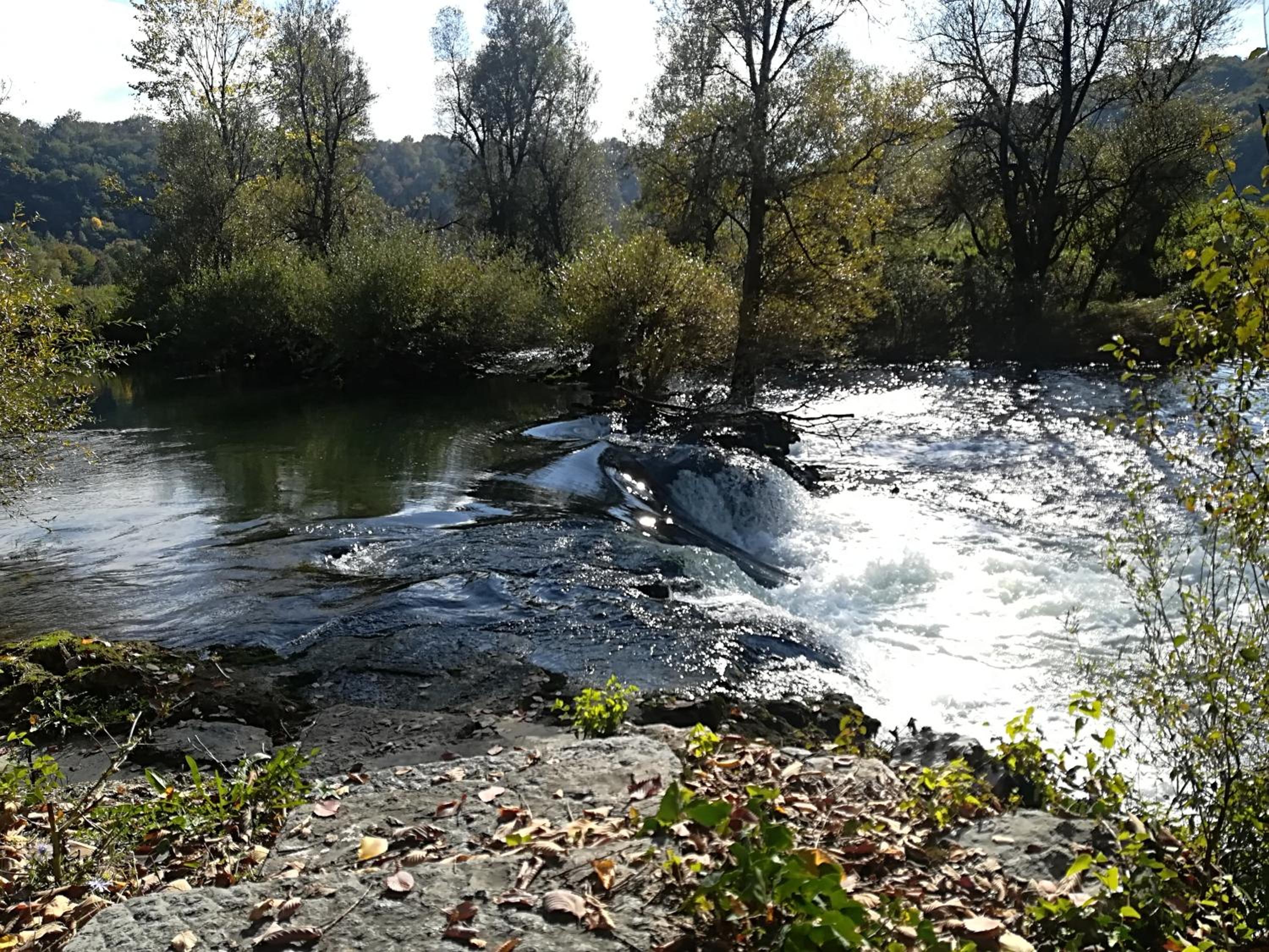 Photo 45
