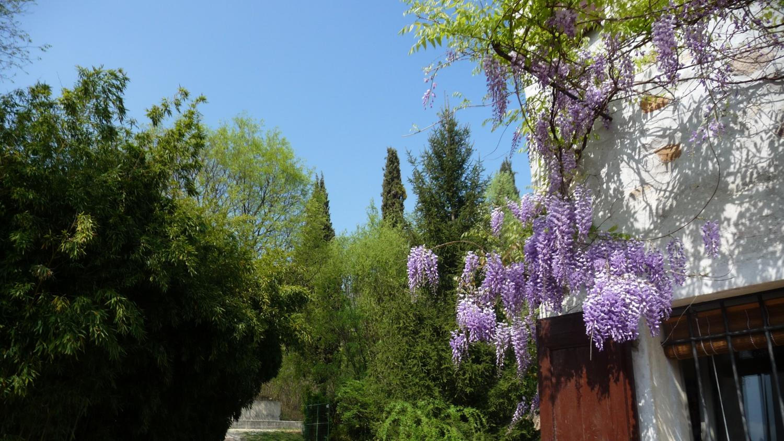 Photo 44
