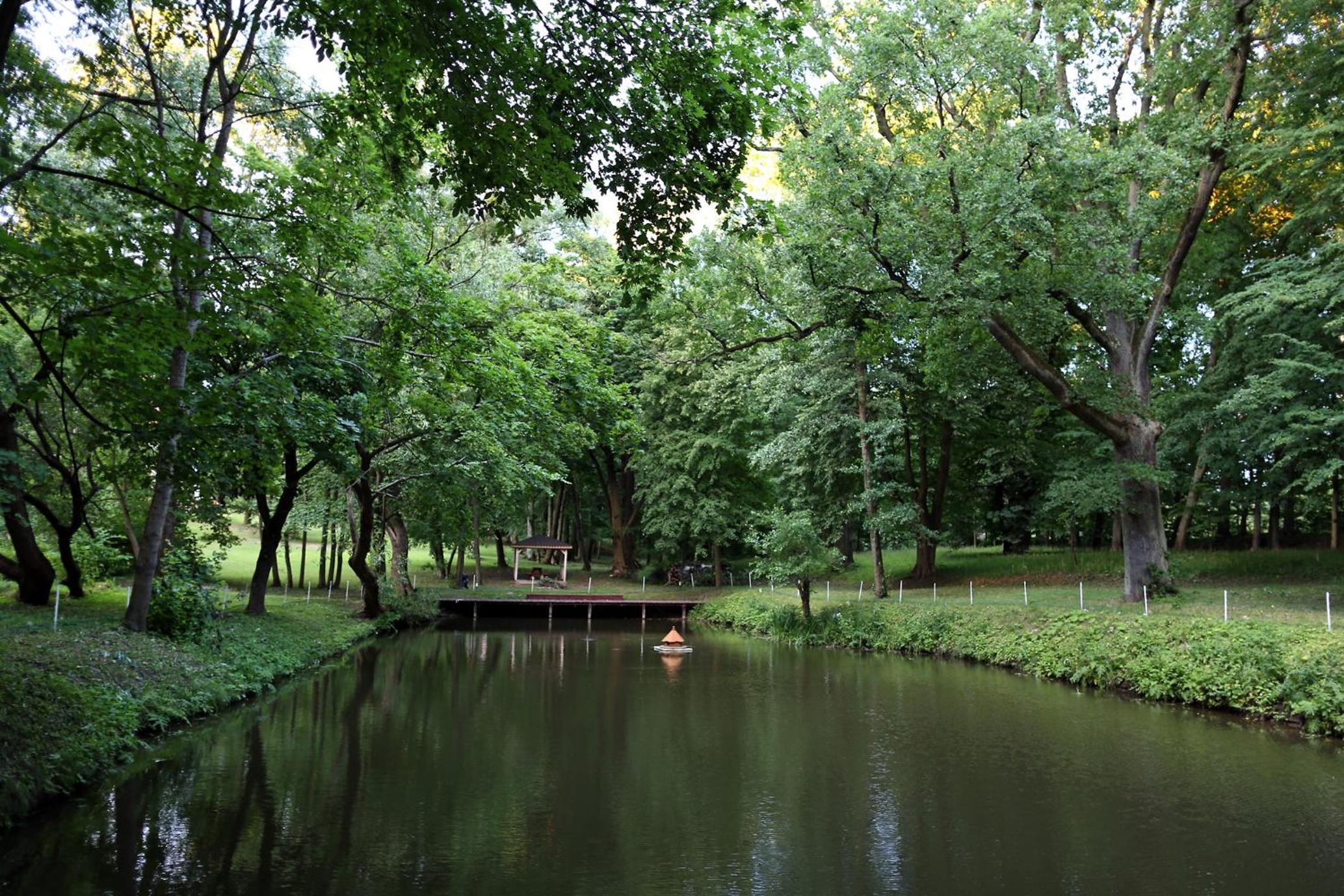 Photo 44