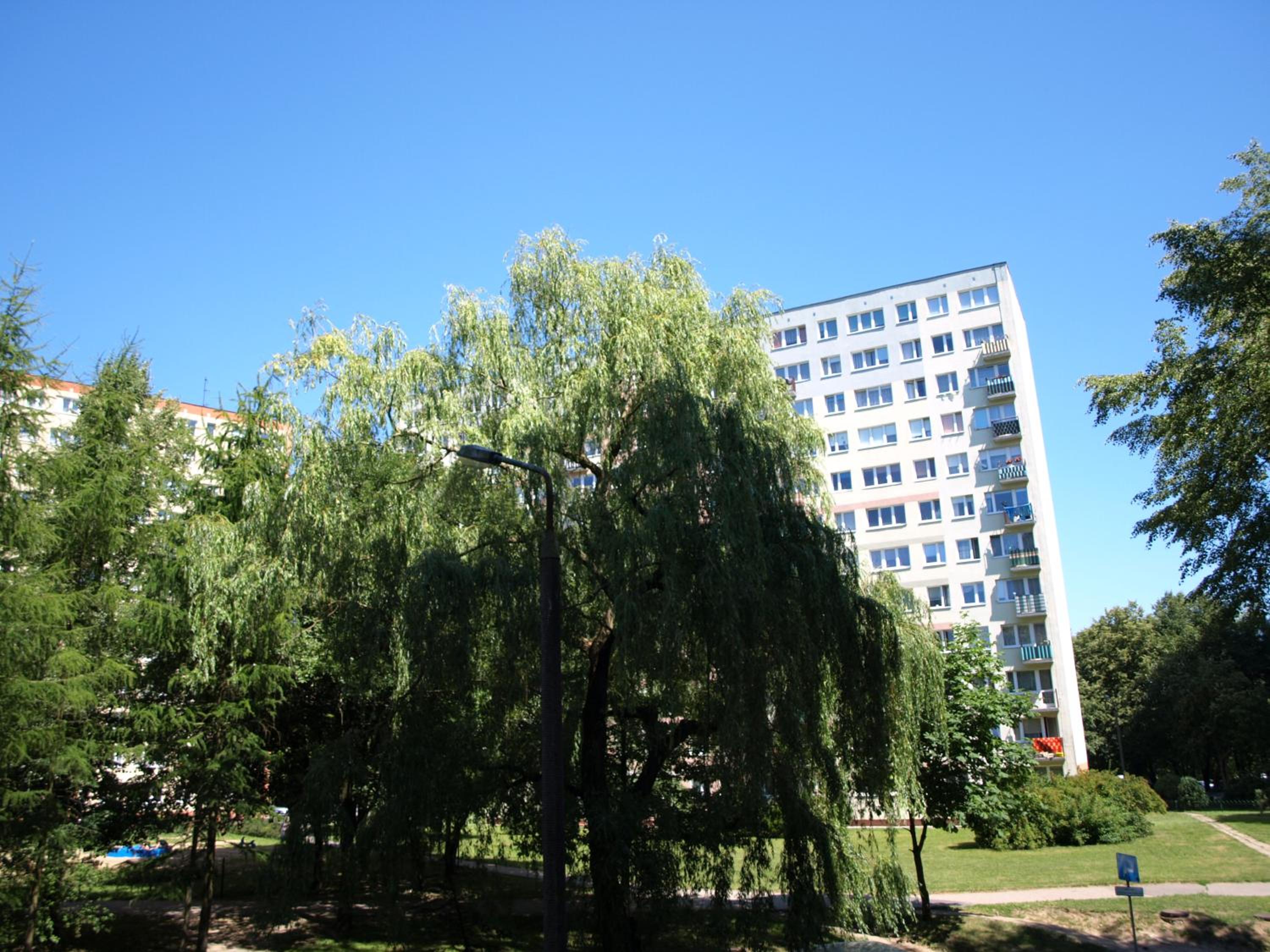 Photo 33