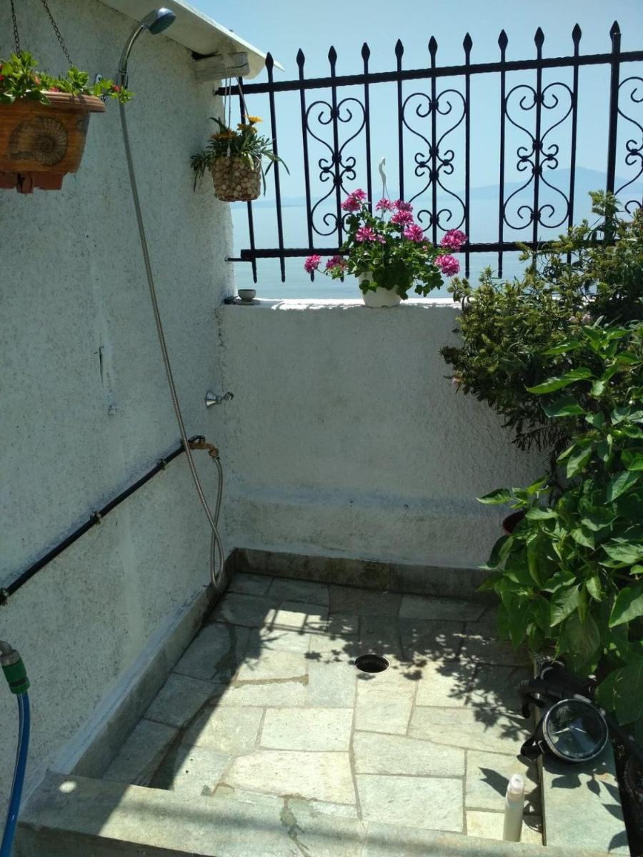 Photo 31