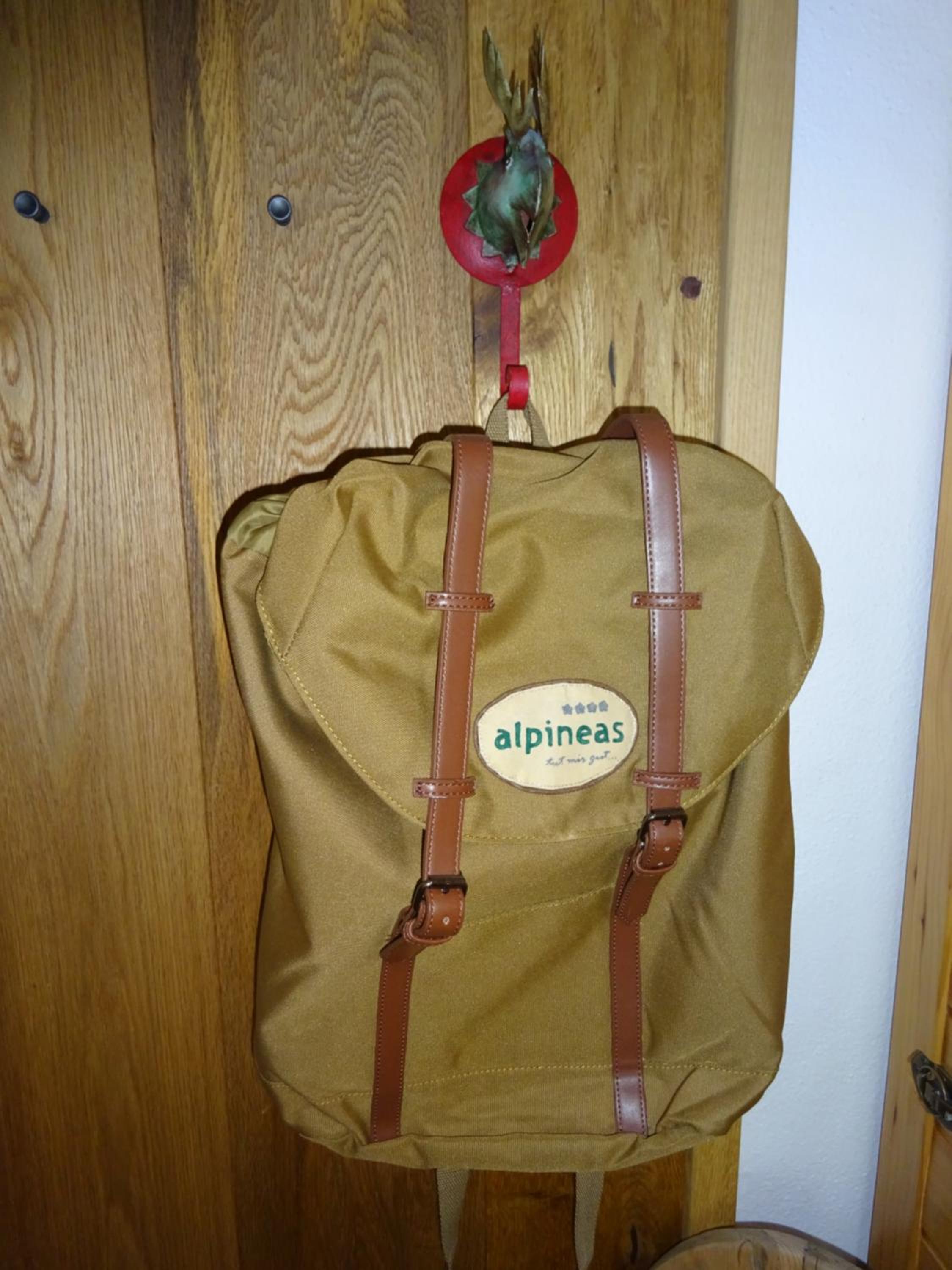 Alpineas view 2