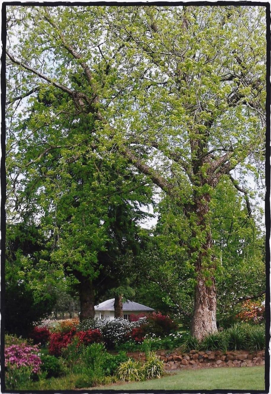 Lastingham Country Lodge