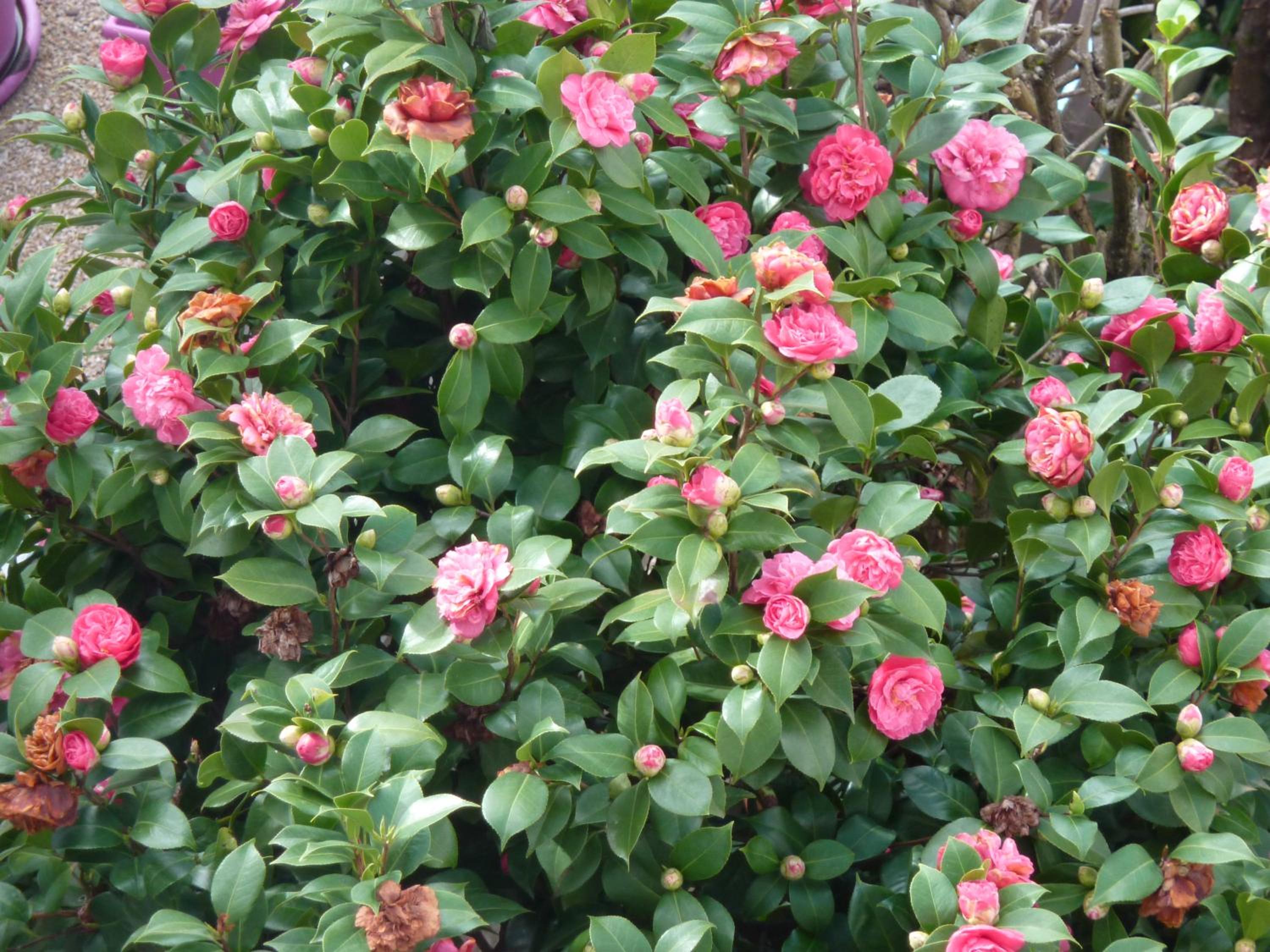 Photo 22