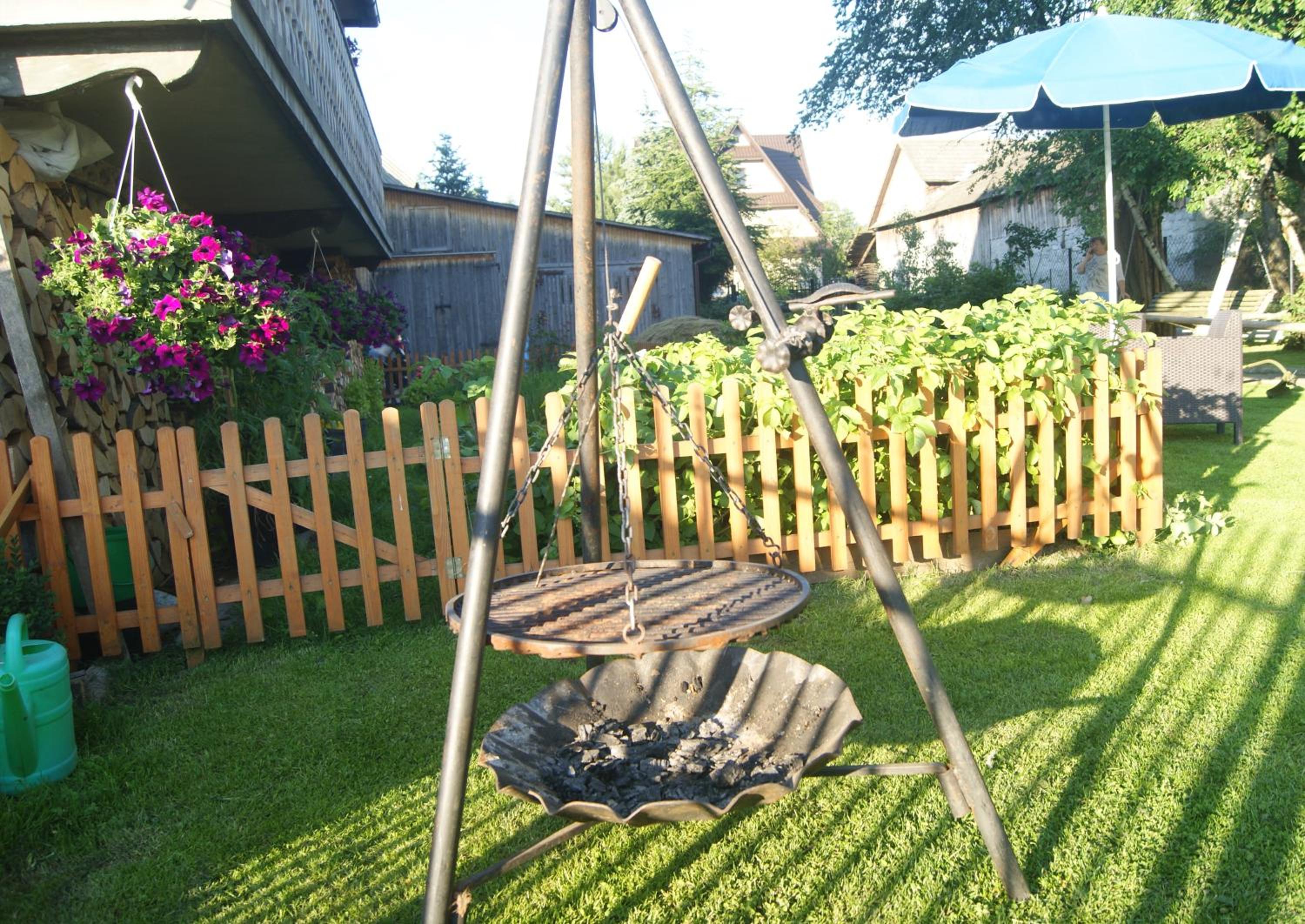 Photo 41