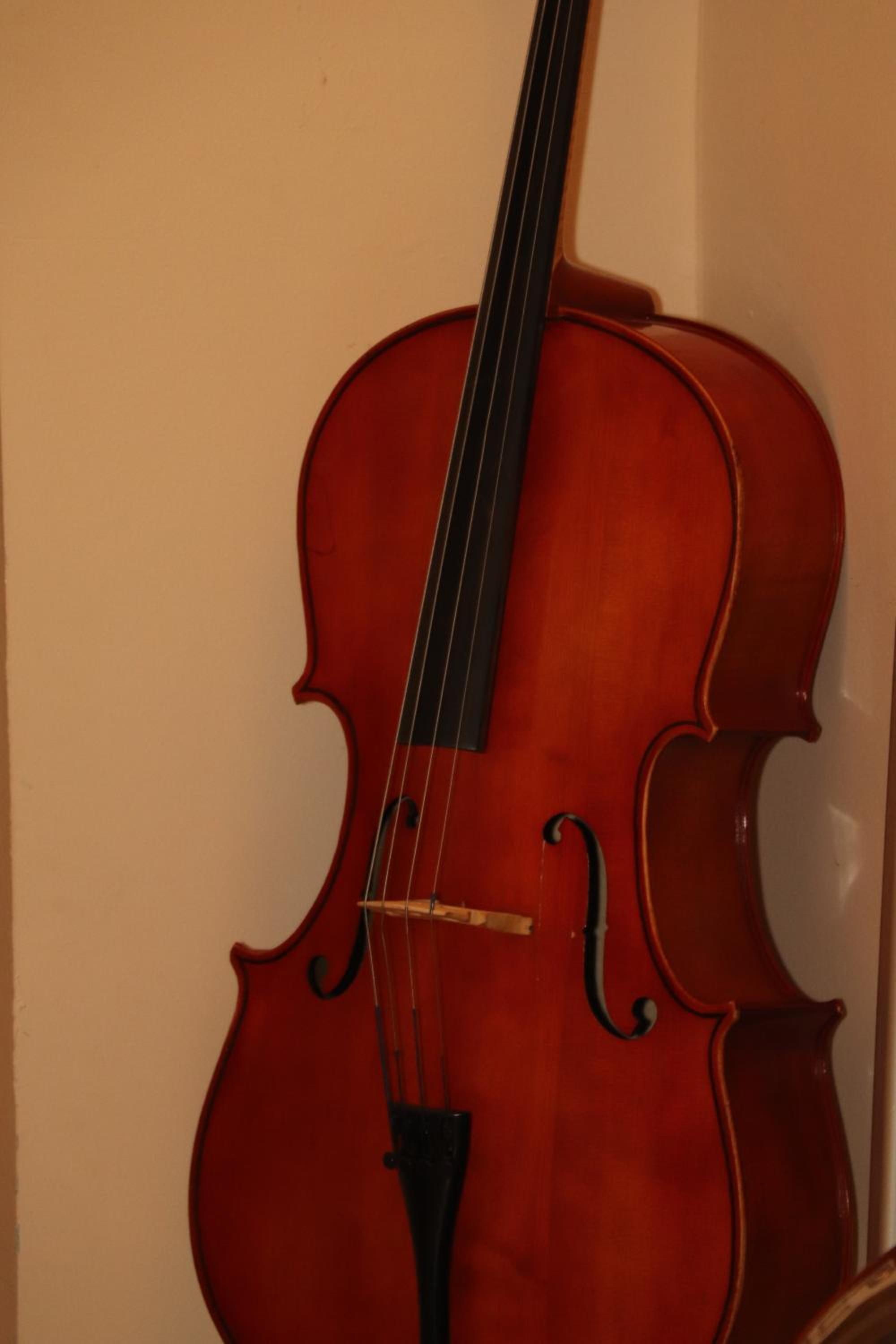 Photo 20