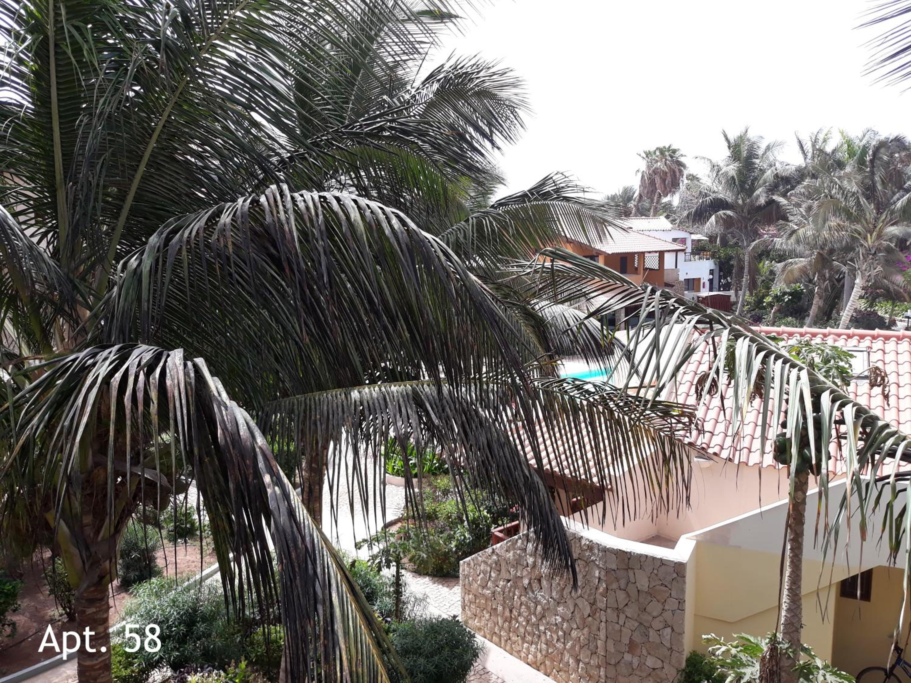 Porto Antigo Holidays