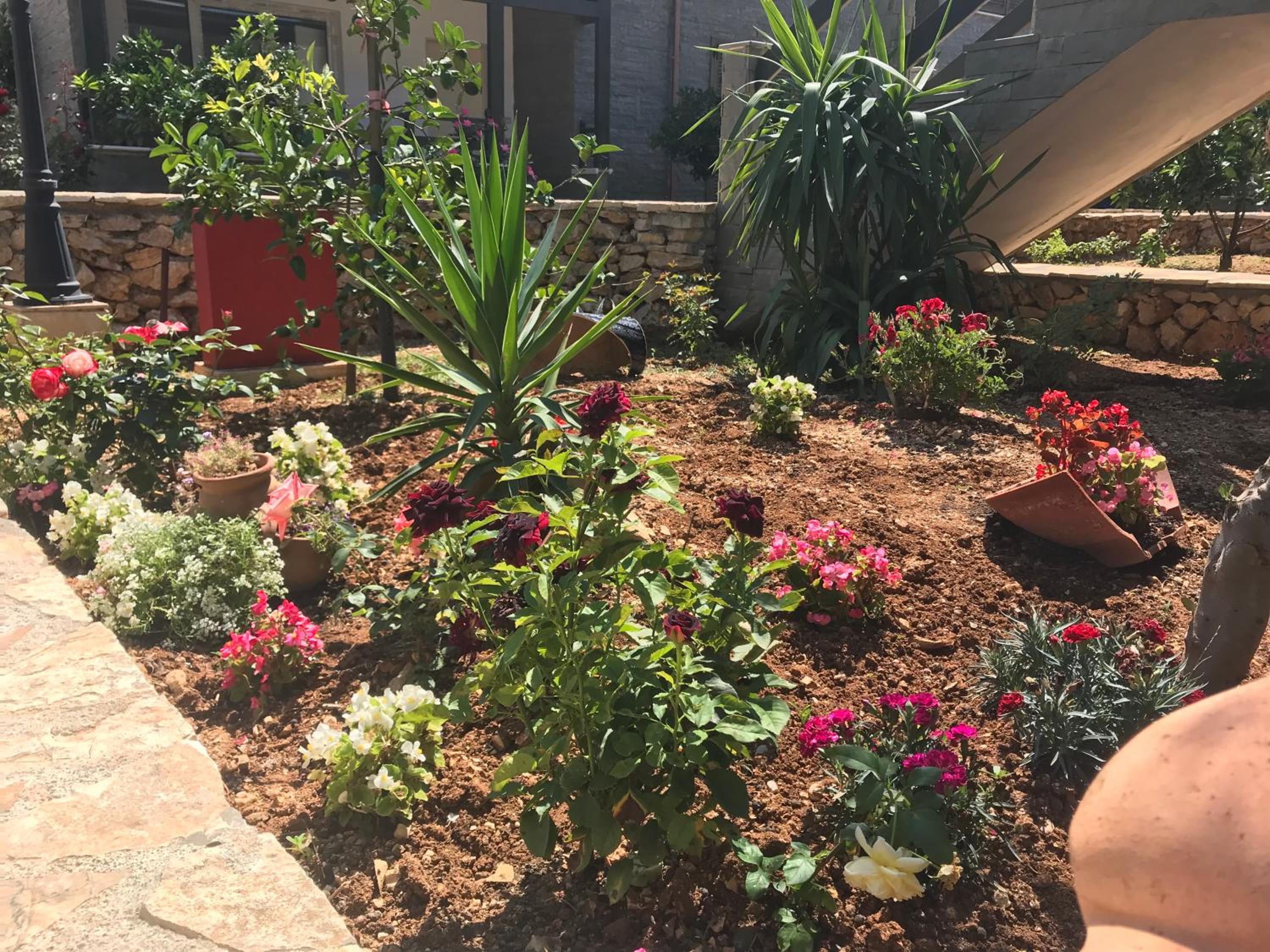 Sofia's Holiday Apartment