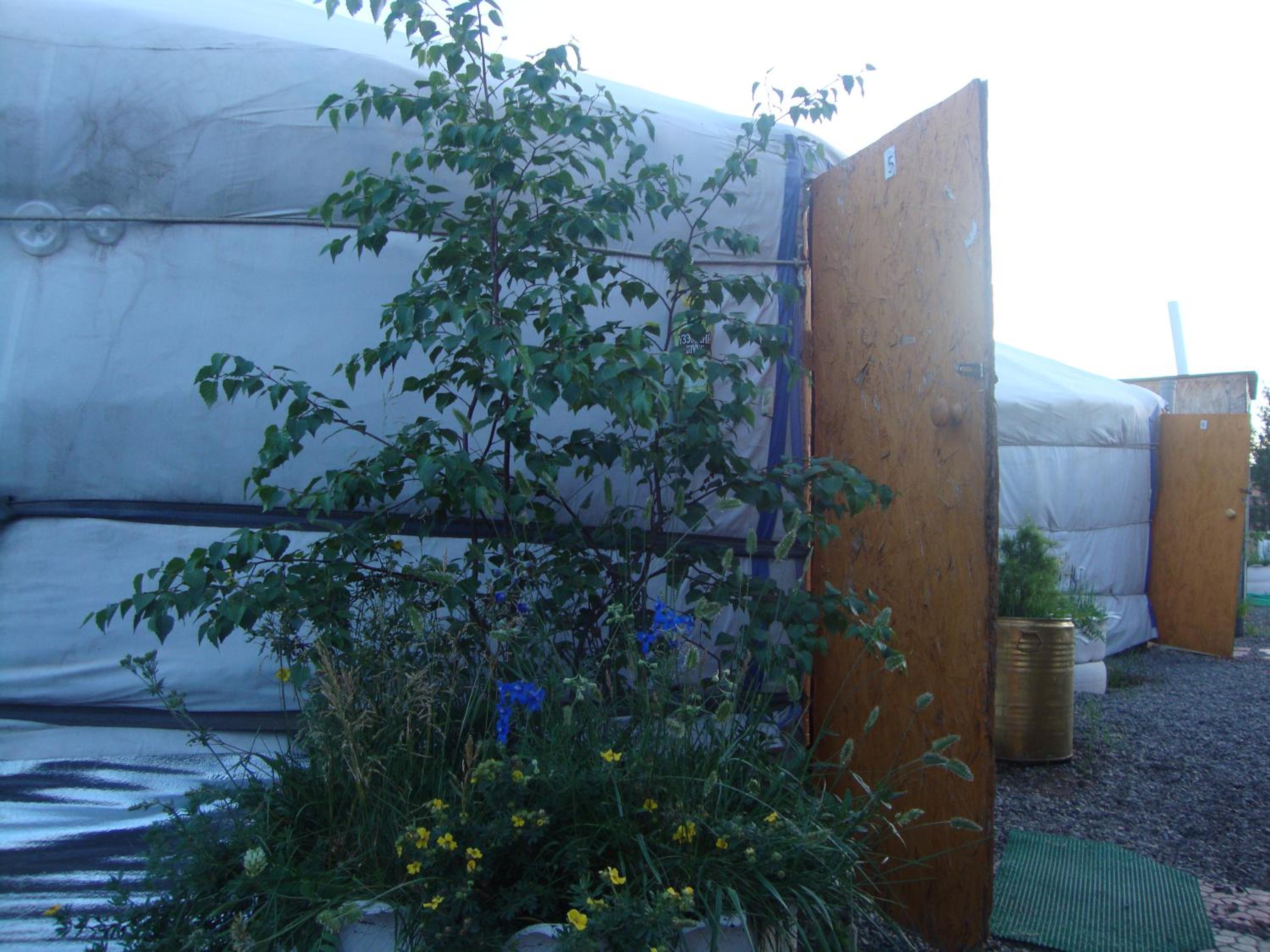 Photo 17