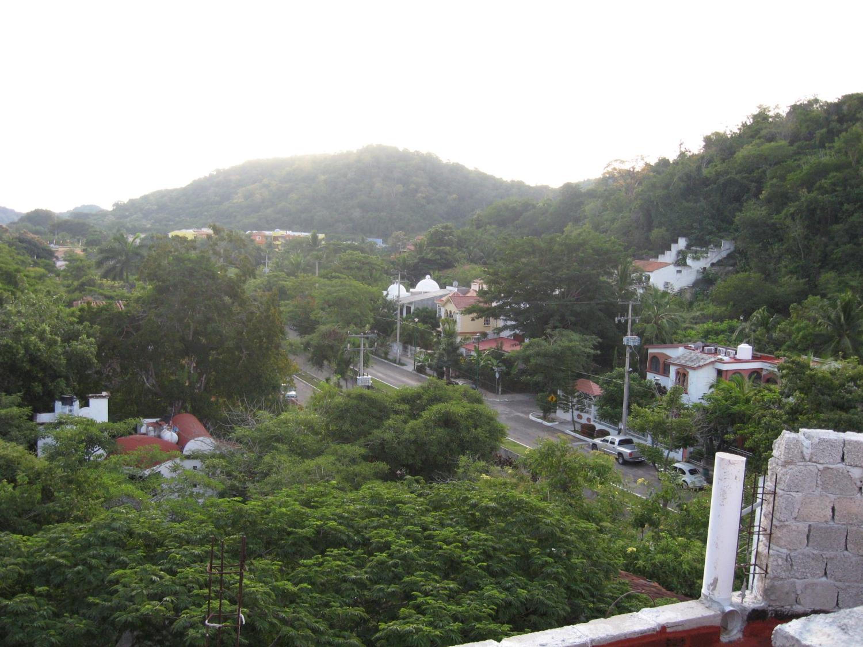 Photo 11
