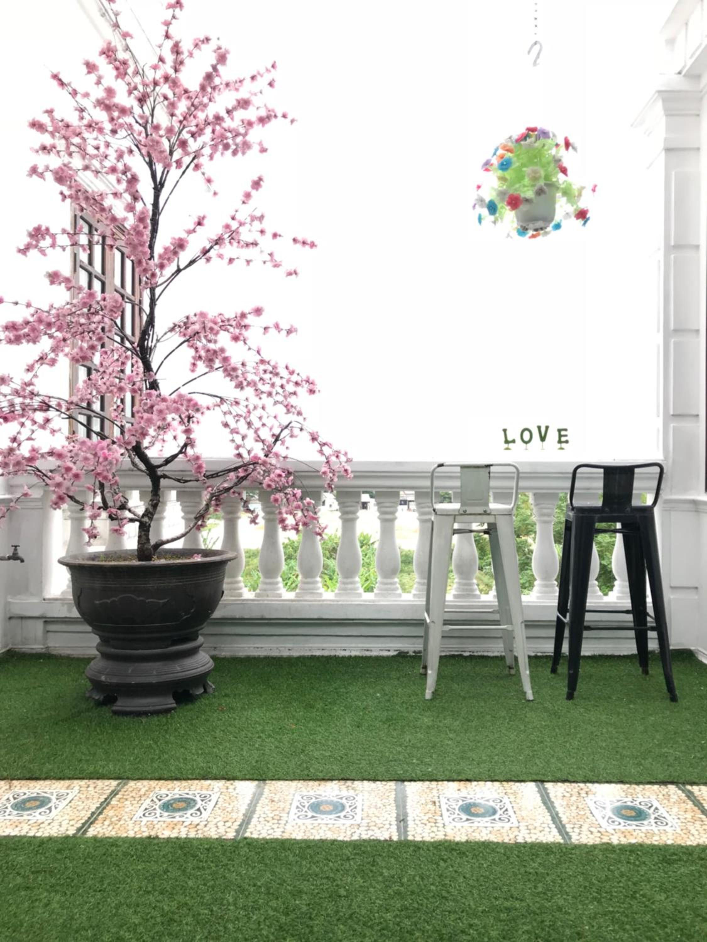 Timothy Homestay Hue