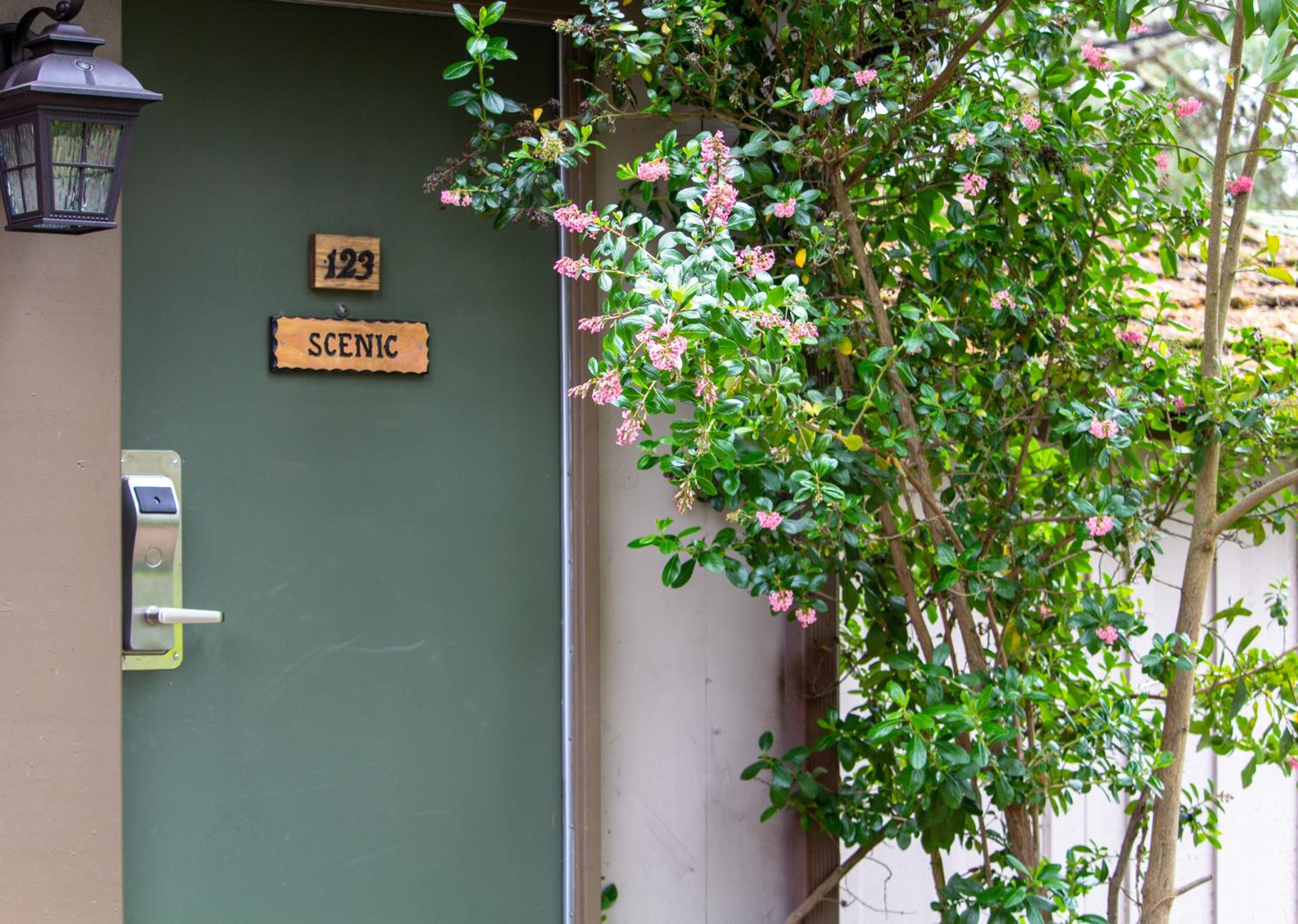 Carmel Resort Inn - Property Image 46