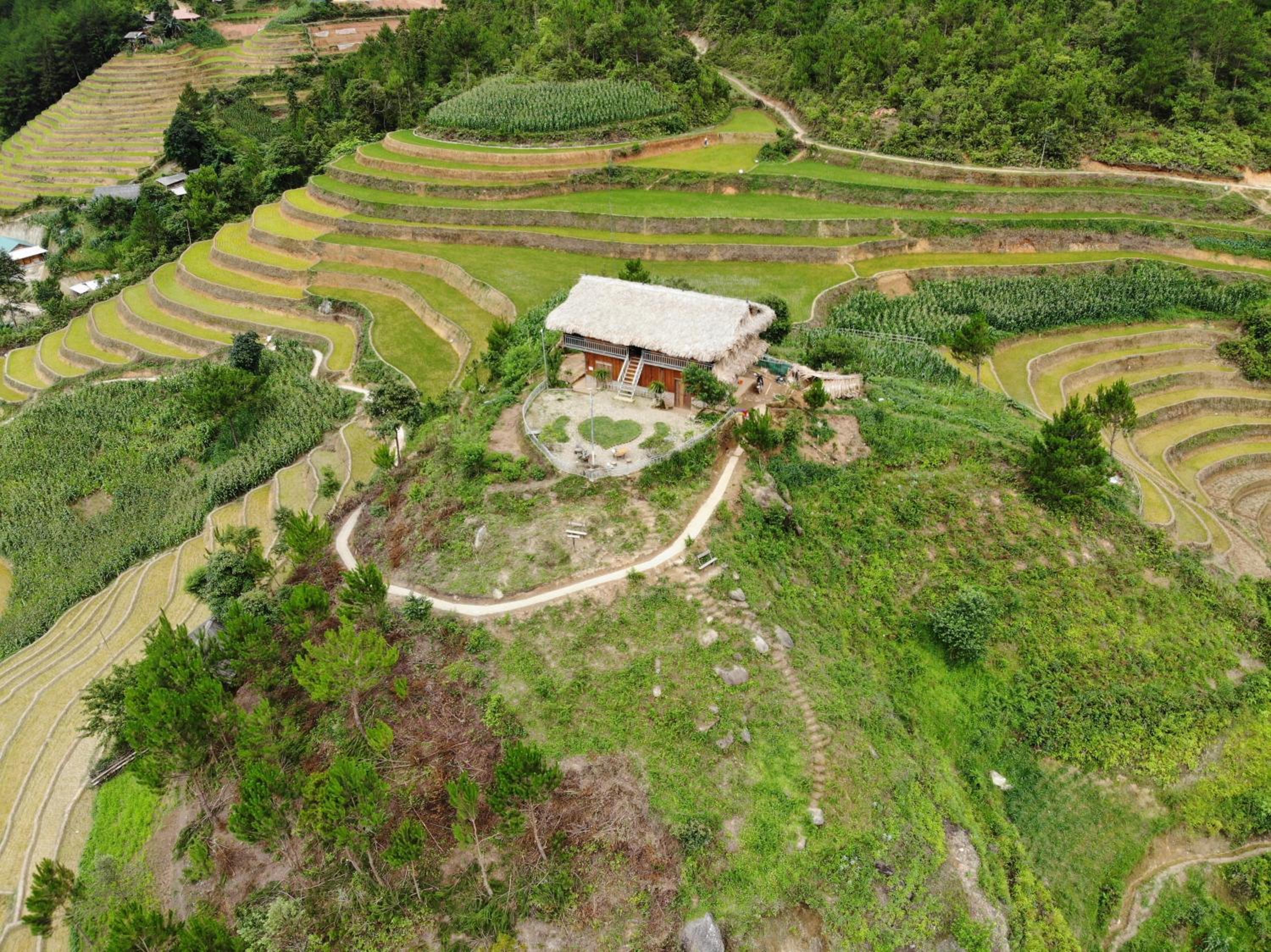 Hello Mu Cang Chai Homestay & Tours