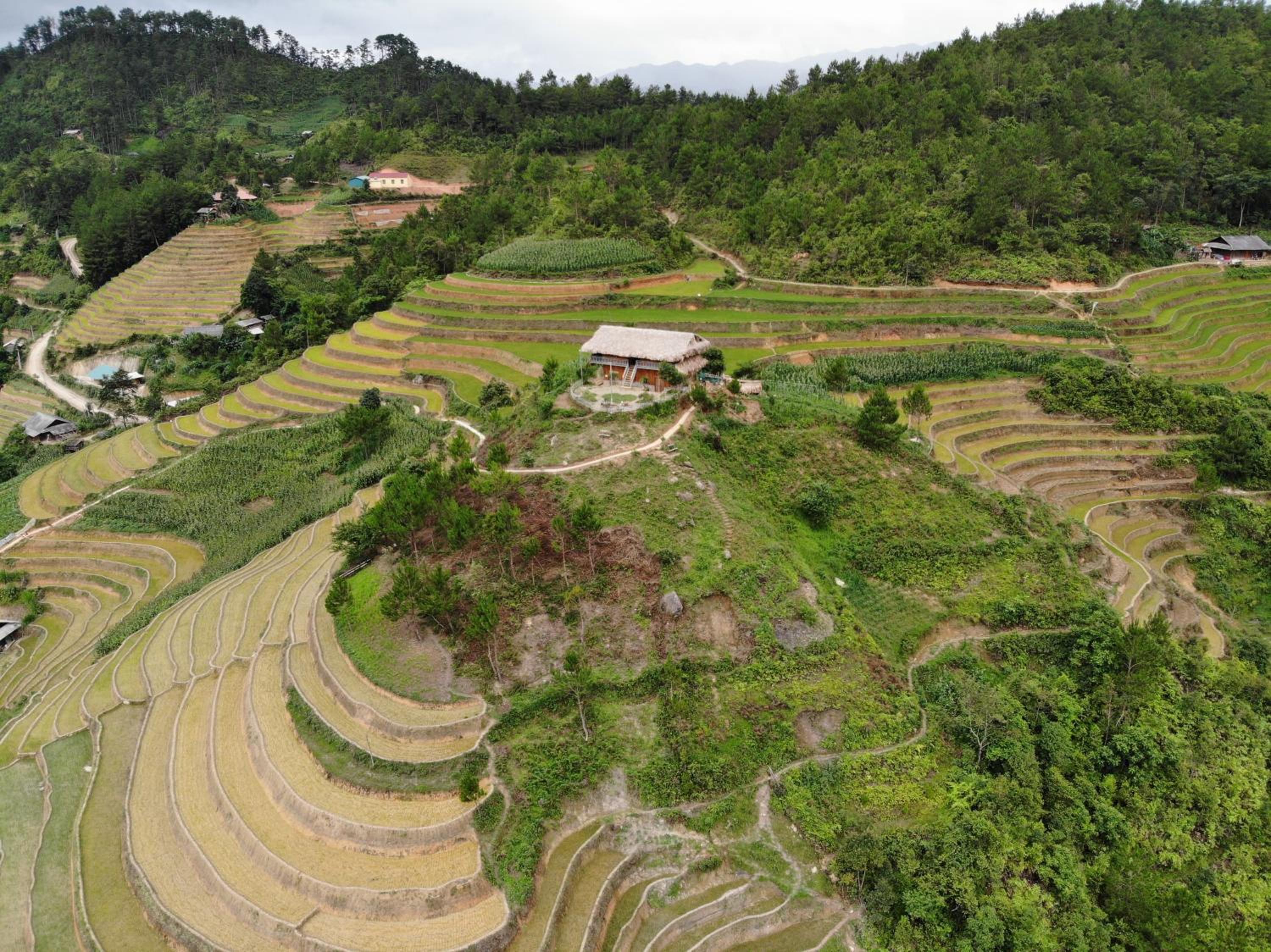 Hello Mu Cang Chai Homestay & Tours