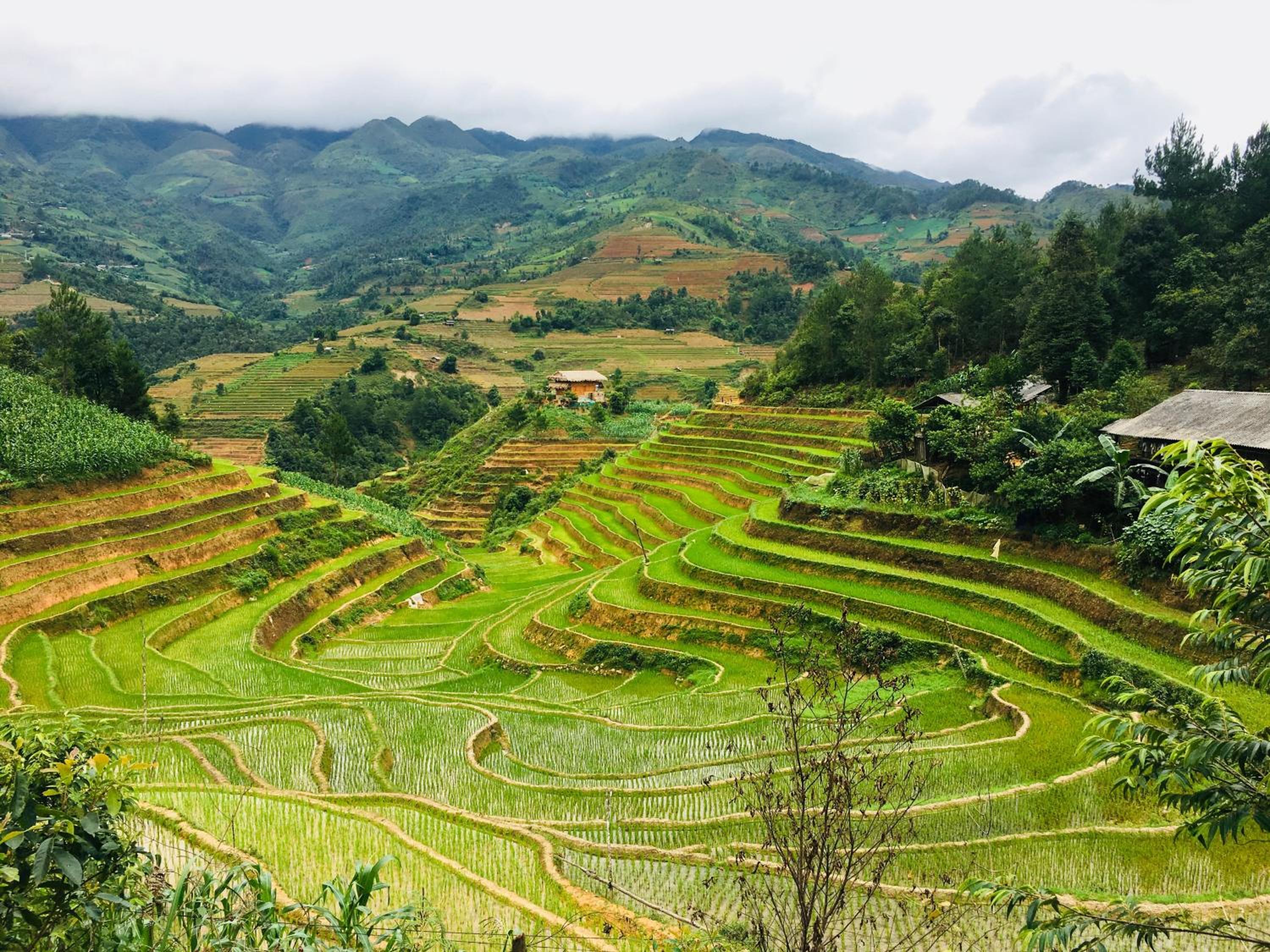 Hello Mu Cang Chai Homestay & Tours