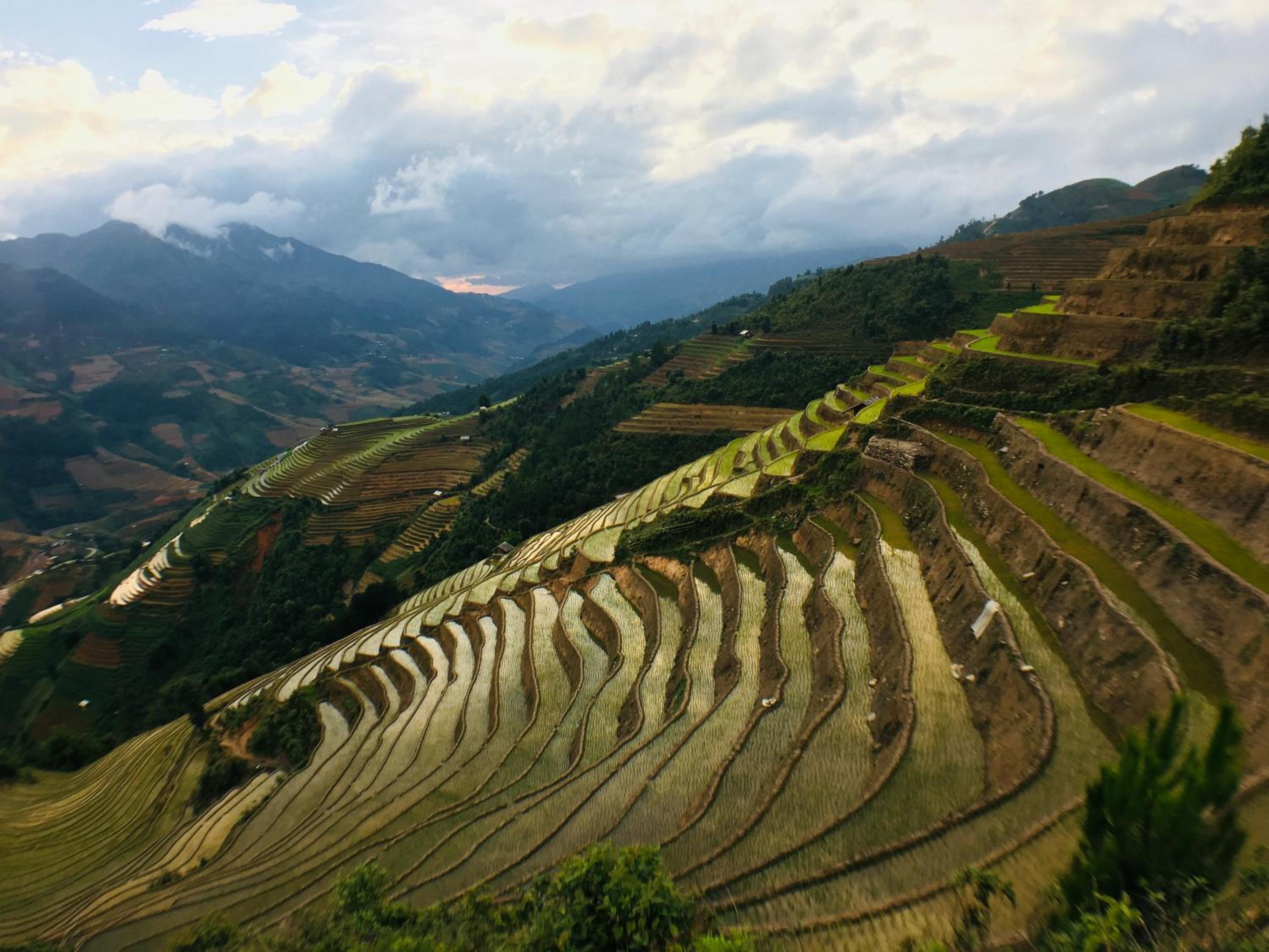 Hello Mu Cang Chai Homestay & Tours