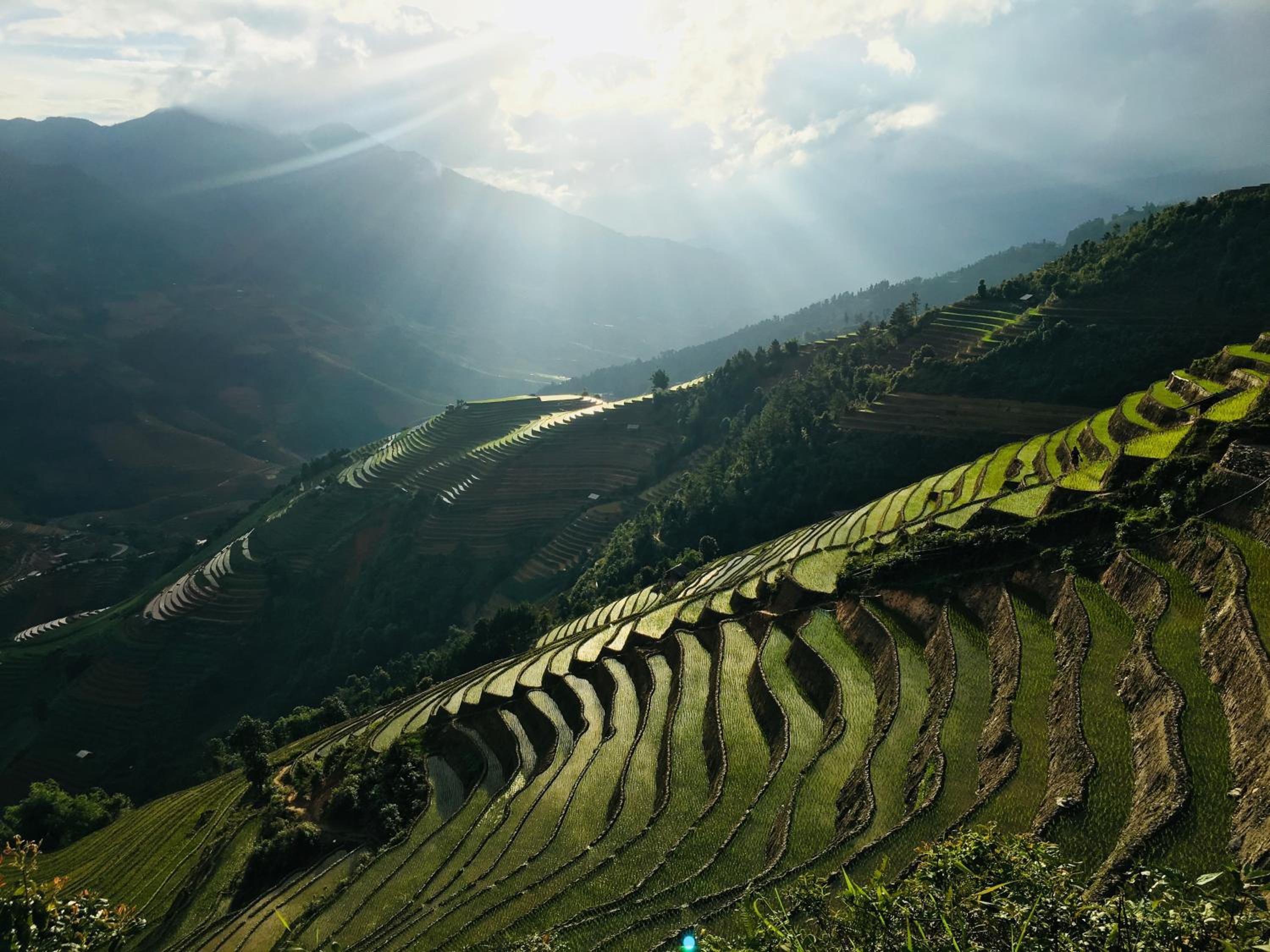 Hello Mu Cang Chai Homestay & Tours
