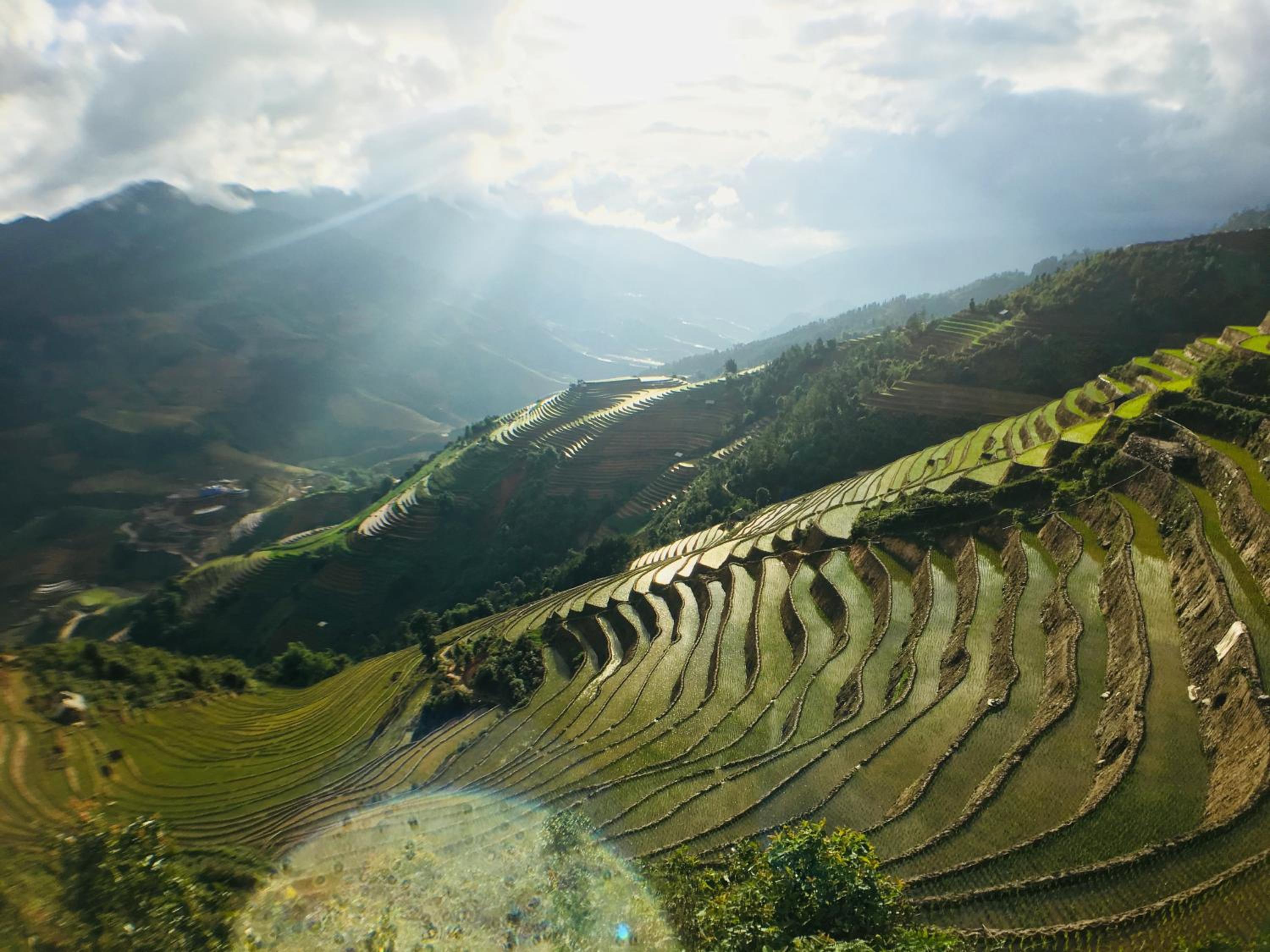 Hello Mu Cang Chai Homestay & Tours