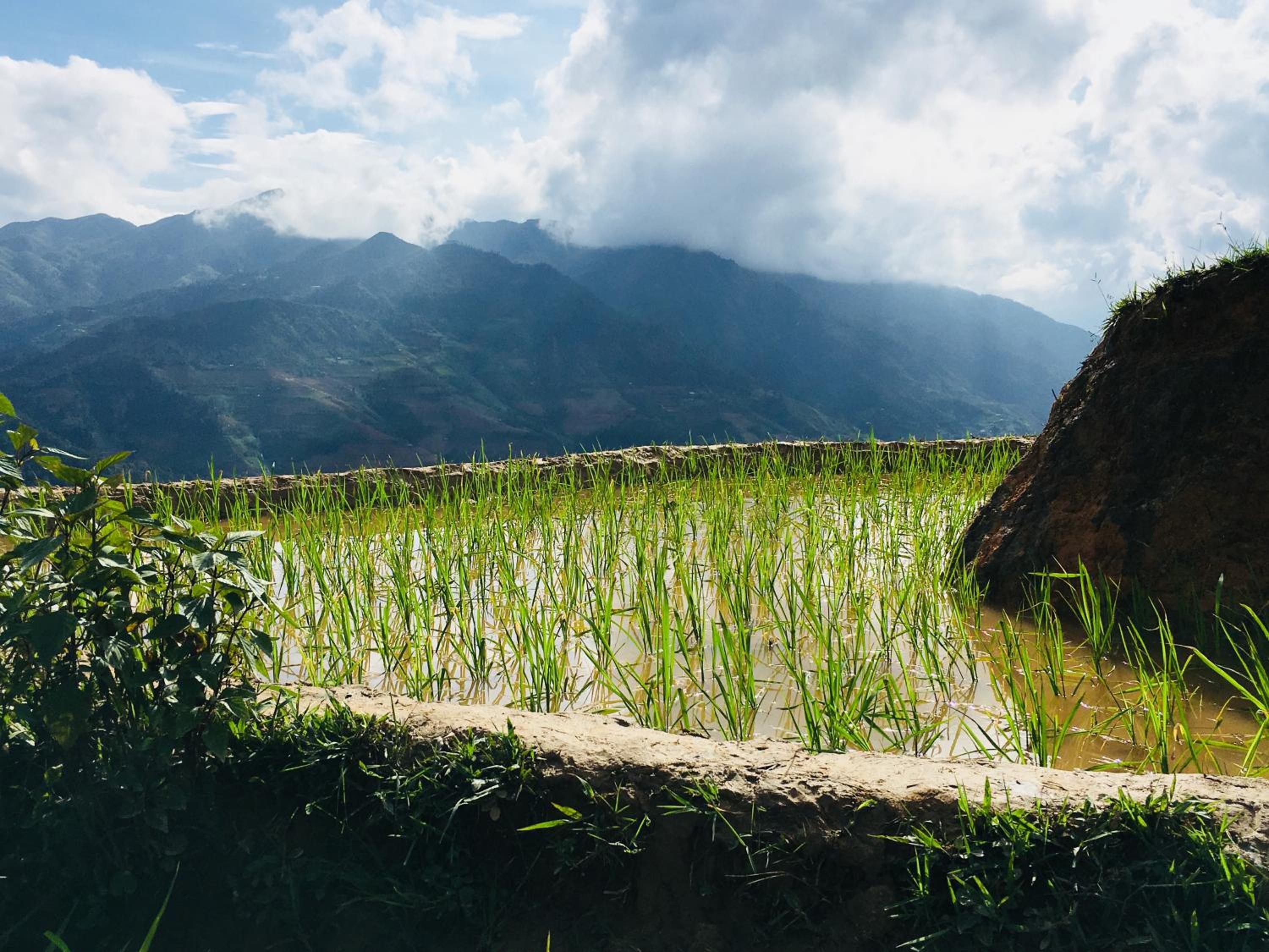 Hello Mu Cang Chai Homestay & Tours