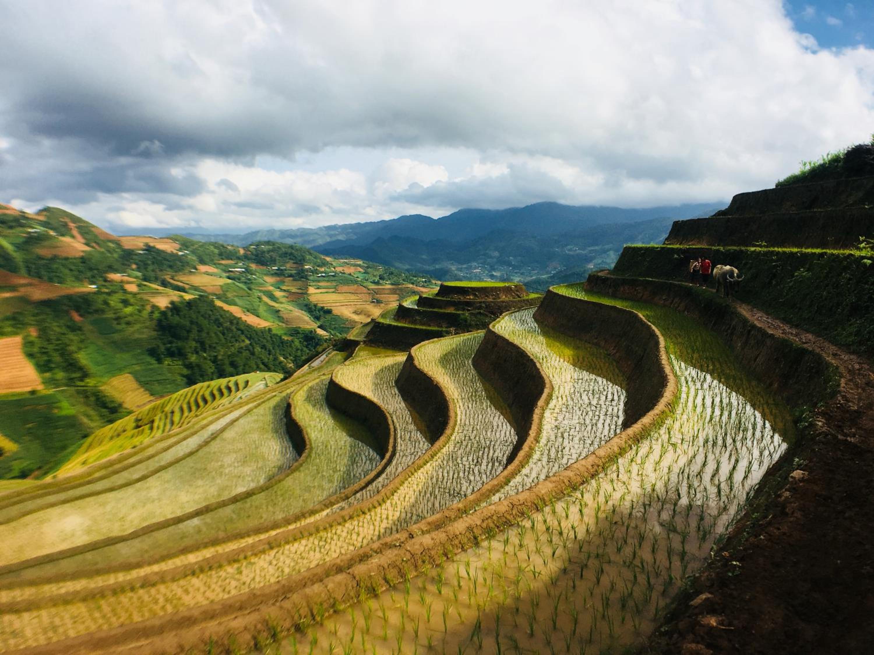 Hello Mu Cang Chai Homestay & Tours