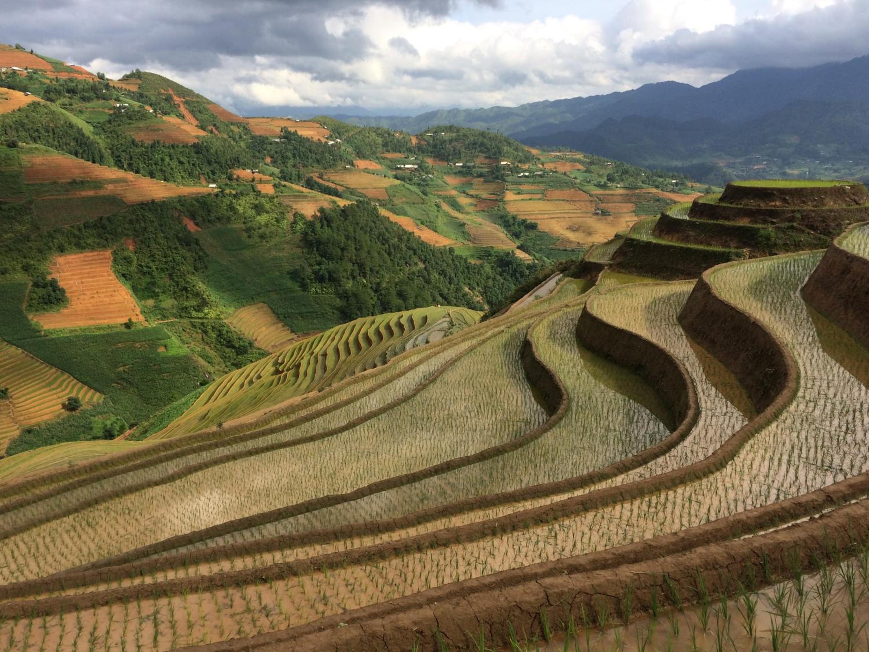 Hello Mu Cang Chai Homestay & Tours