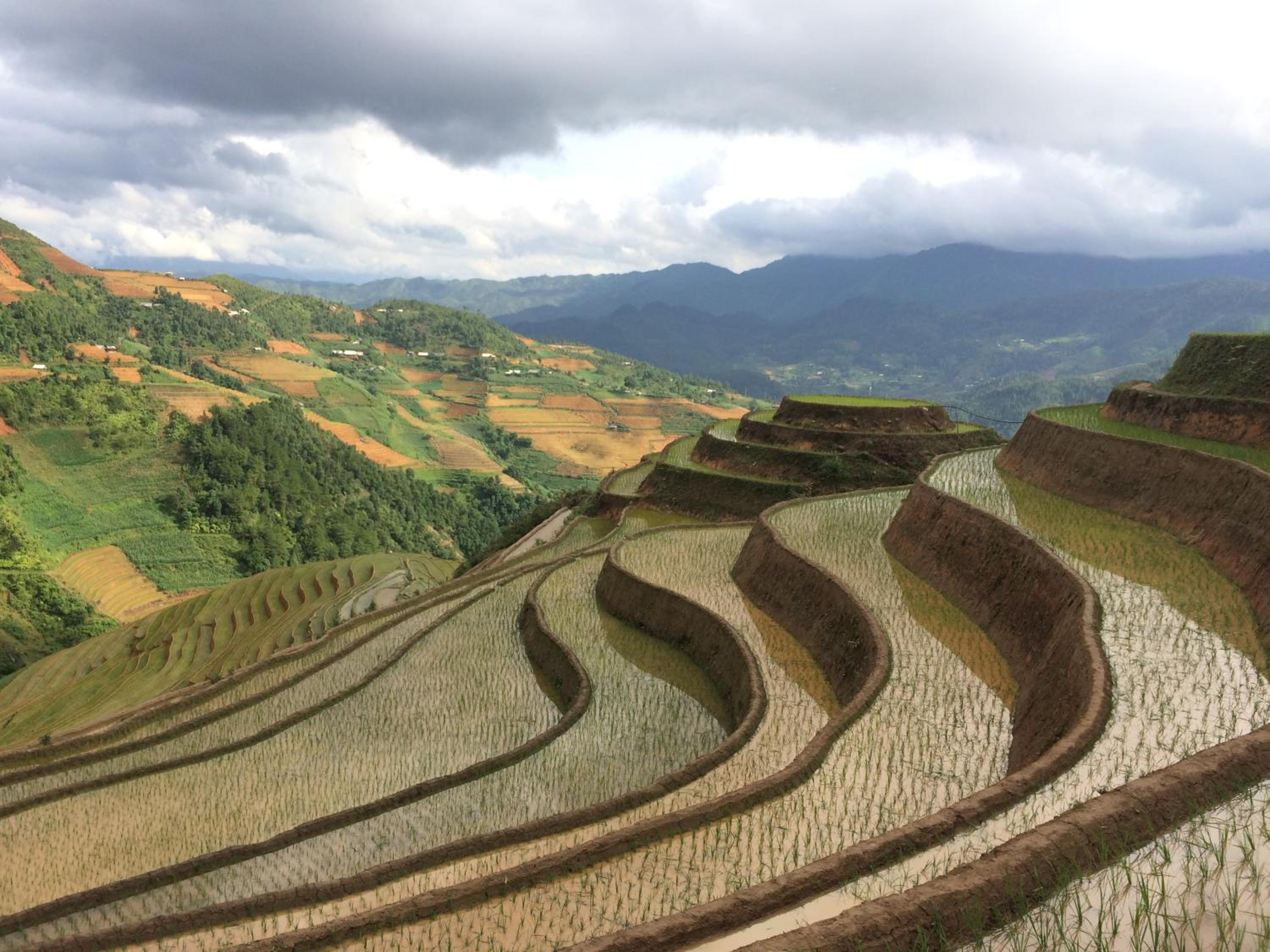 Hello Mu Cang Chai Homestay & Tours