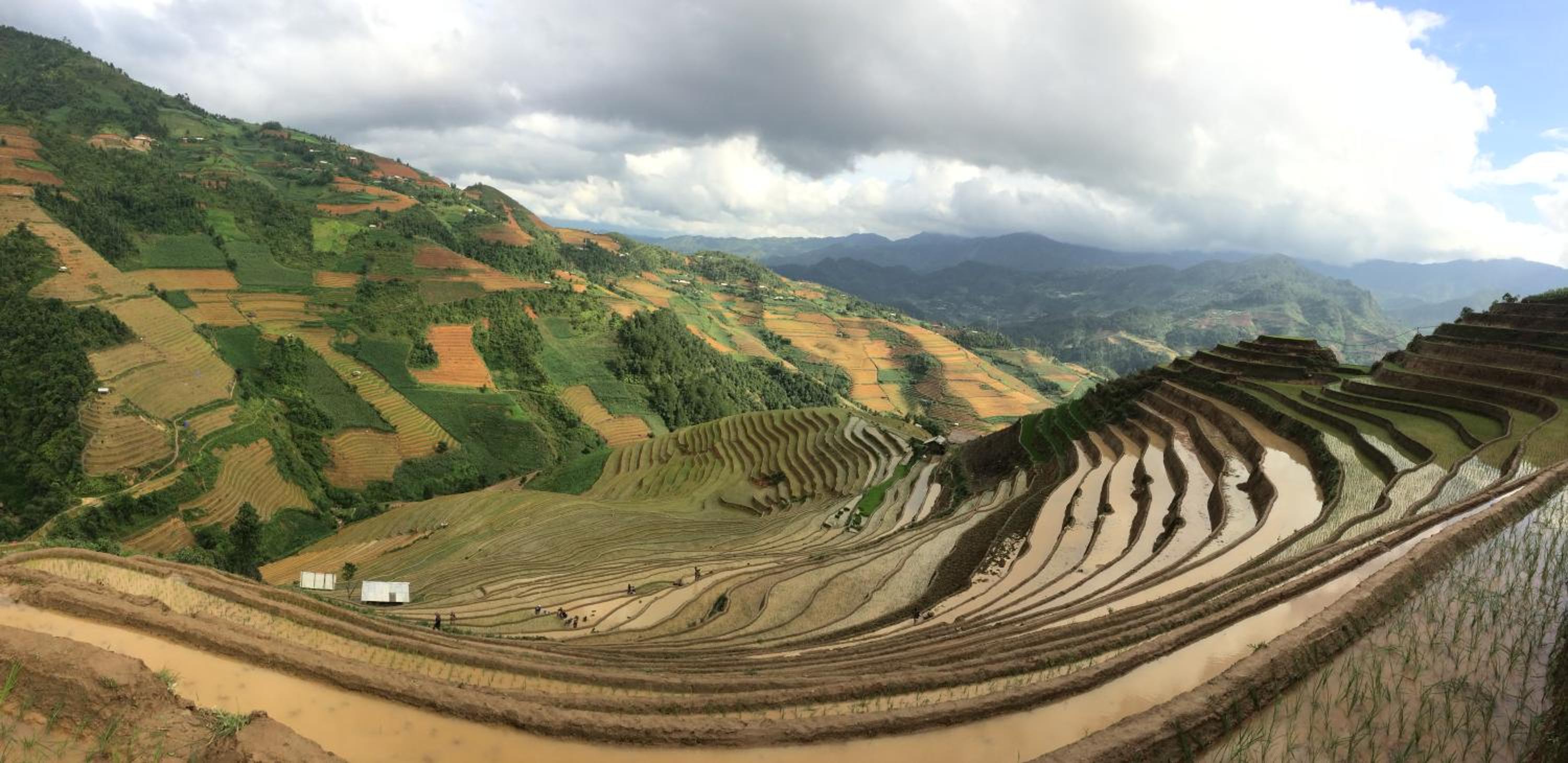 Hello Mu Cang Chai Homestay & Tours