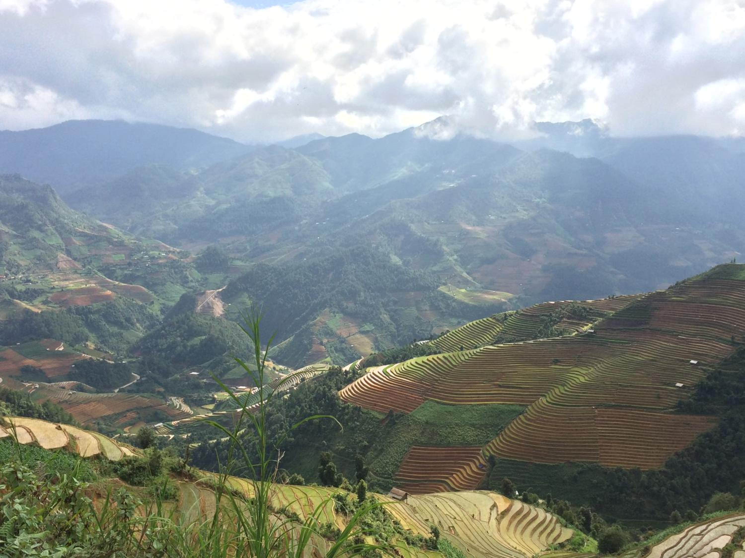 Hello Mu Cang Chai Homestay & Tours