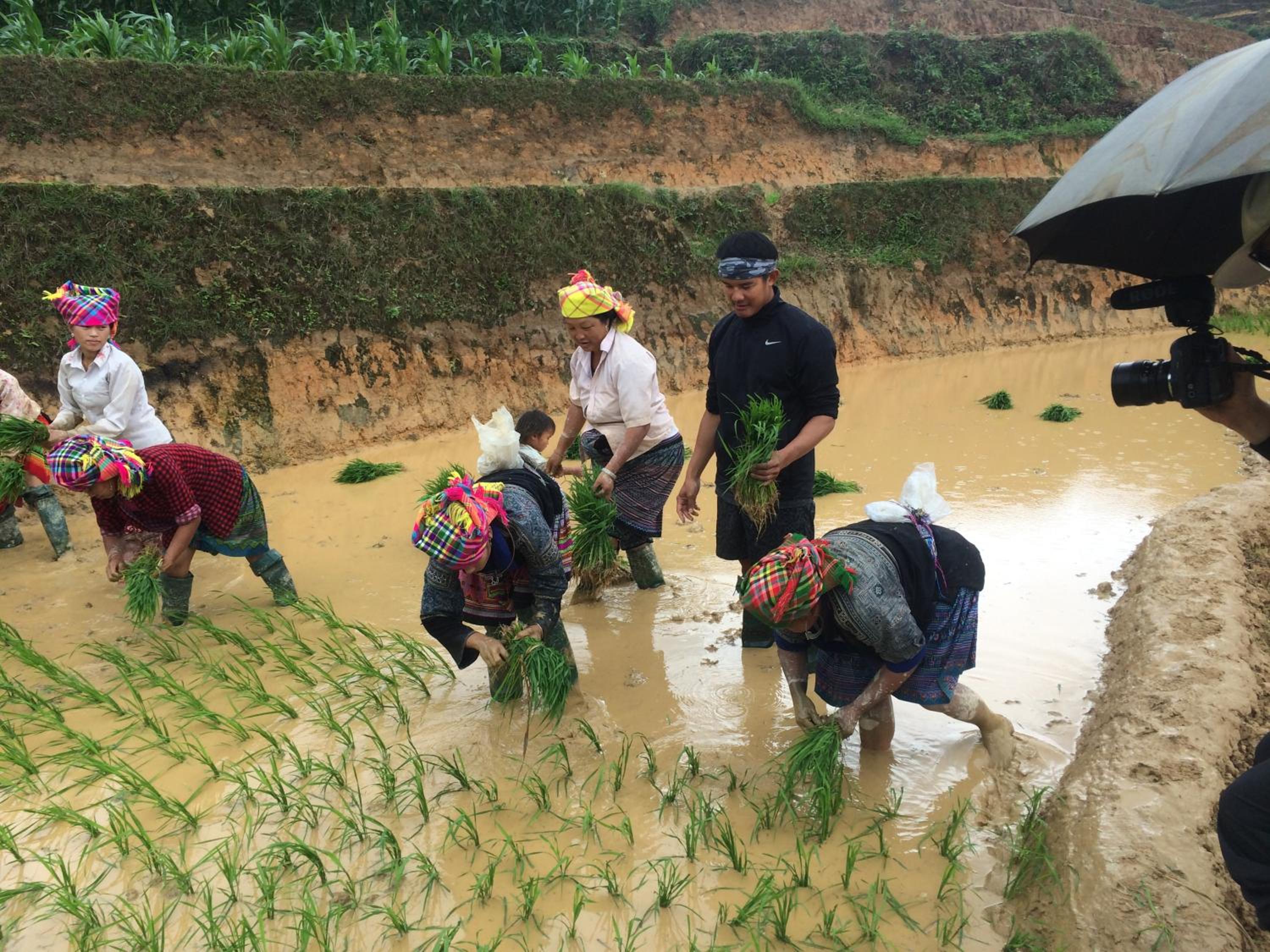 Hello Mu Cang Chai Homestay & Tours