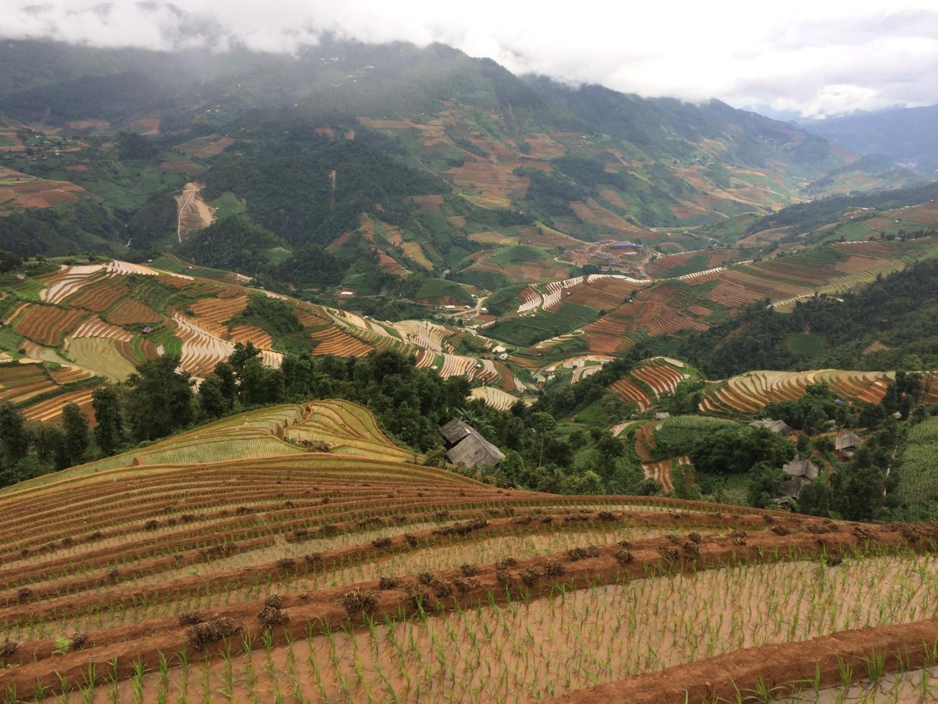 Hello Mu Cang Chai Homestay & Tours