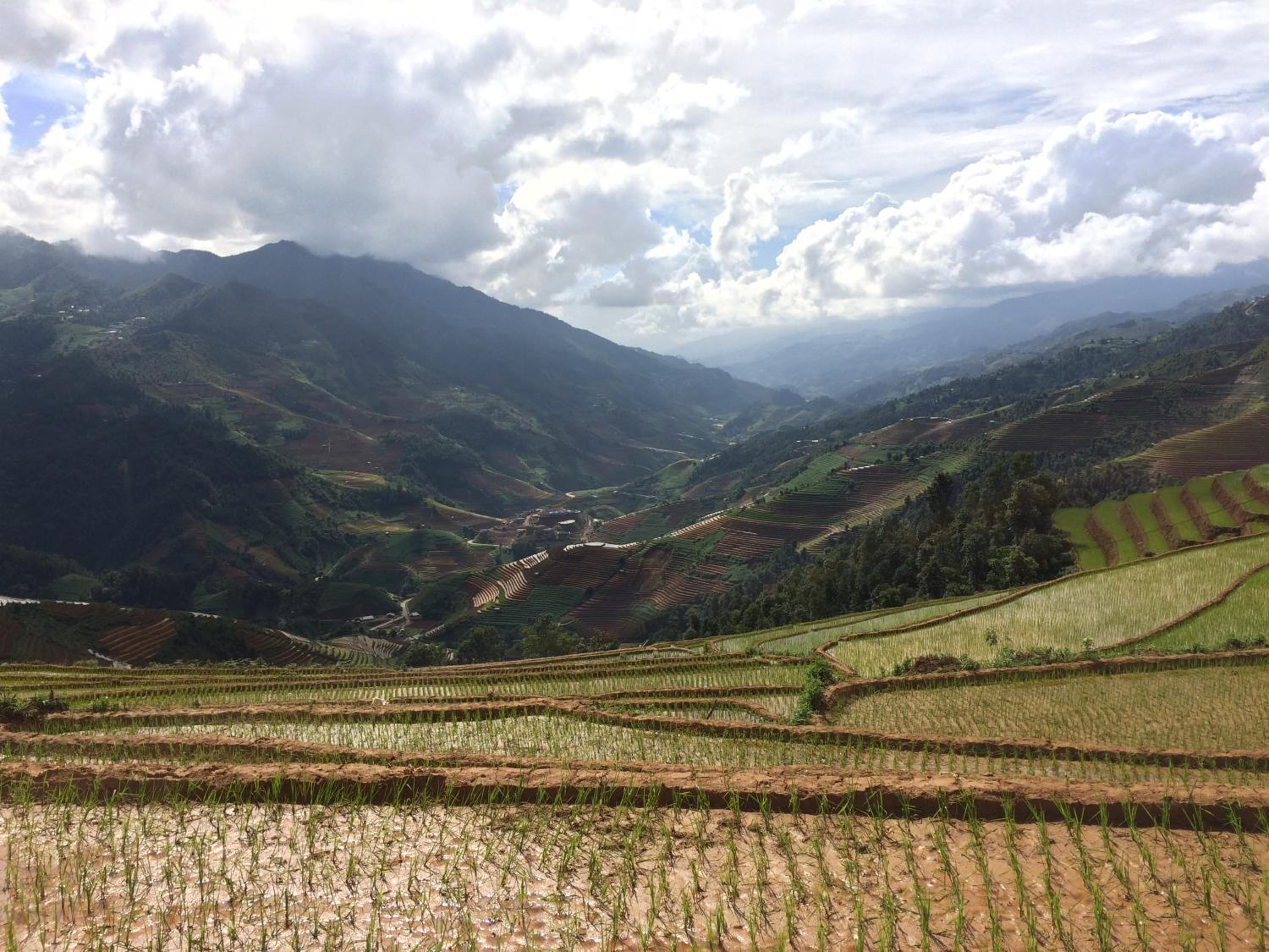 Hello Mu Cang Chai Homestay & Tours