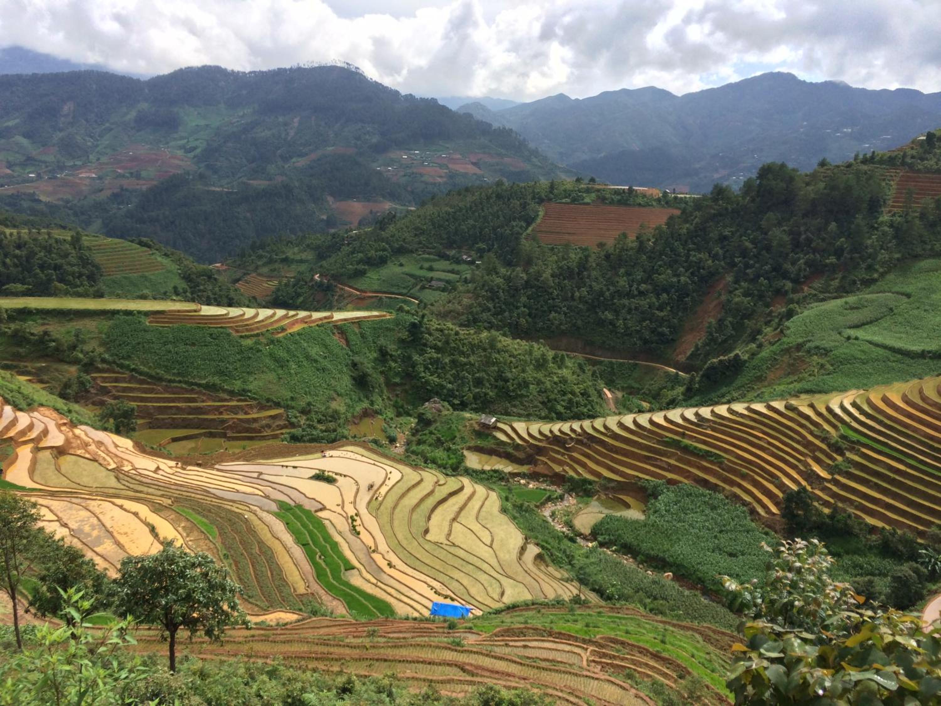 Hello Mu Cang Chai Homestay & Tours