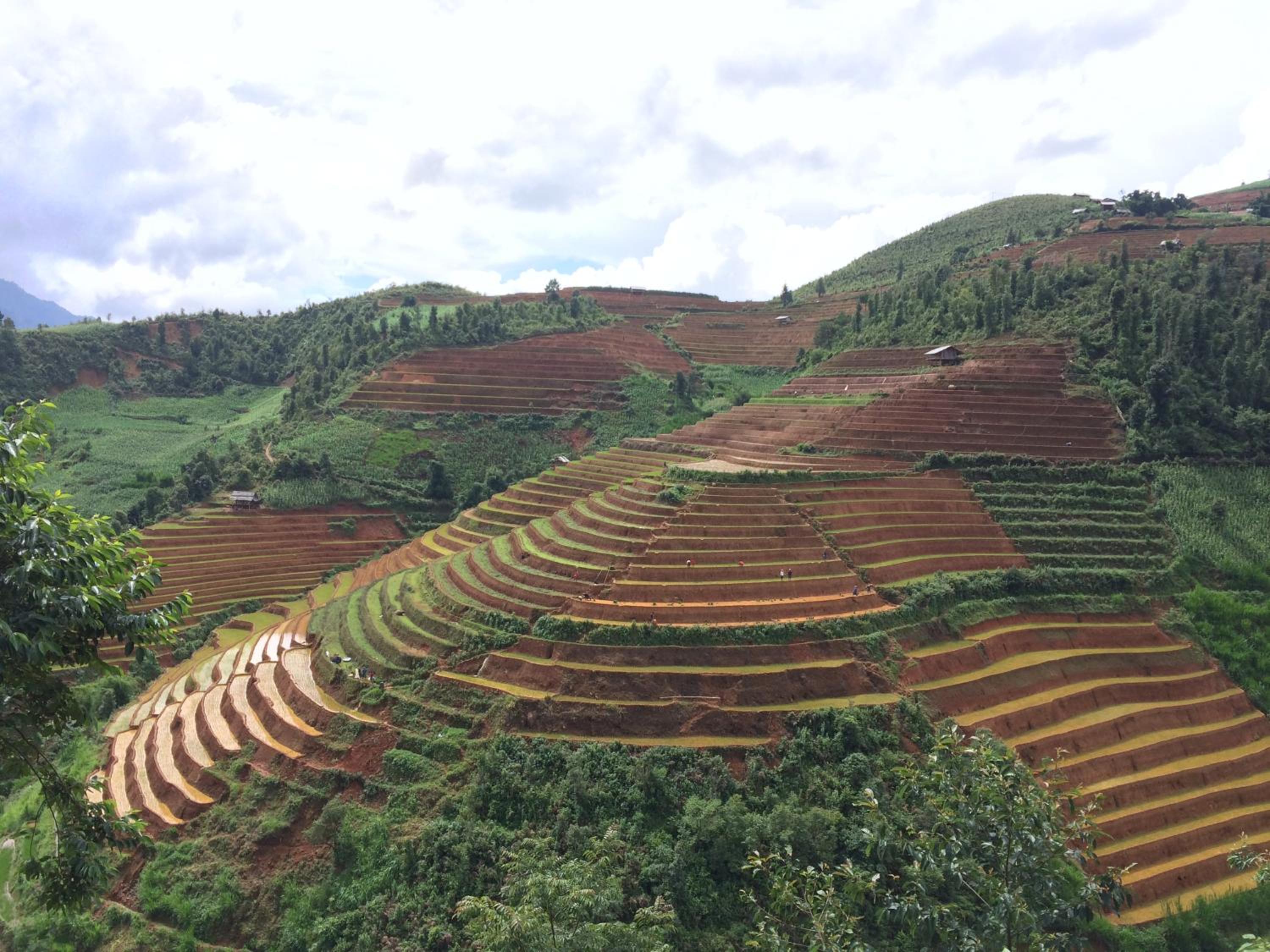 Hello Mu Cang Chai Homestay & Tours