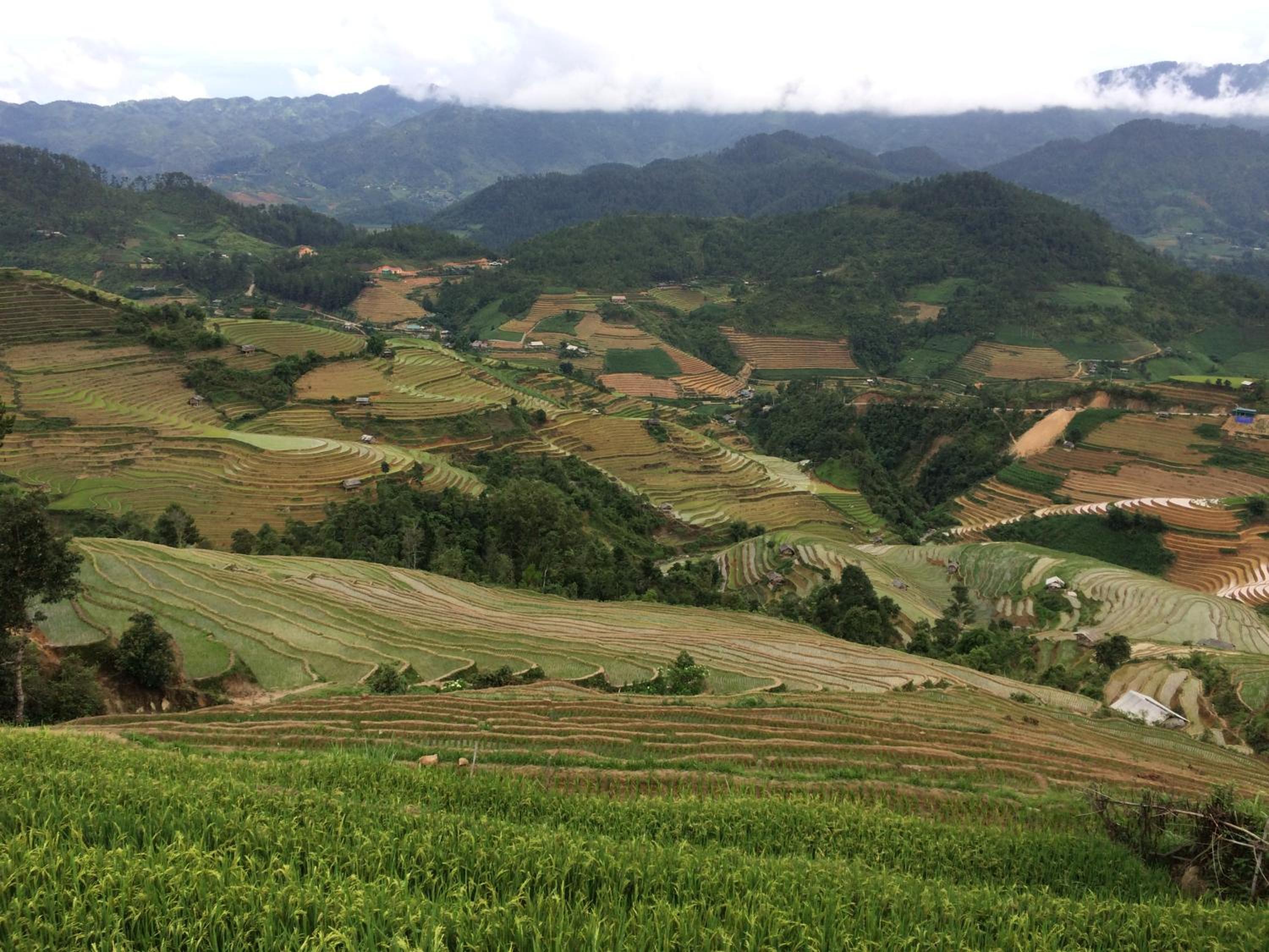 Hello Mu Cang Chai Homestay & Tours
